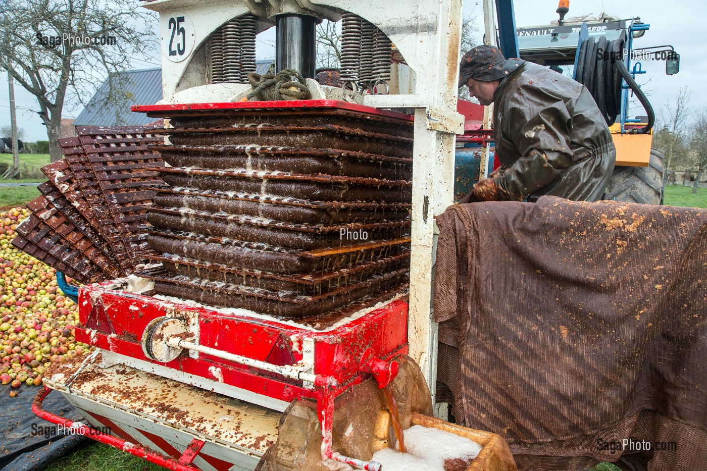 TOILES DE JUTE REMPLIES DE POMMES BROYEES ENTRE LES CLAIES EN BOIS SOUS LE PRESSOIR HYDRAULIQUE POUR EXTRAIRE LE JUS, FABRICATION DU CIDRE FERMIER, EXPLOITATION AGRICOLE DE CLAUDE COURBE, RUGLES (27), FRANCE 