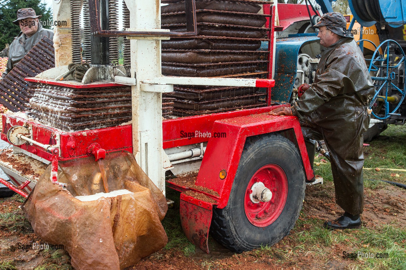 PRESSOIR HYDRAULIQUE DU PILEUR A LA FERME POUR LE PILAGE DES POMMES POUR LA FABRICATION DU CIDRE FERMIER, EXPLOITATION AGRICOLE DE CLAUDE COURBE, RUGLES (27), FRANCE 