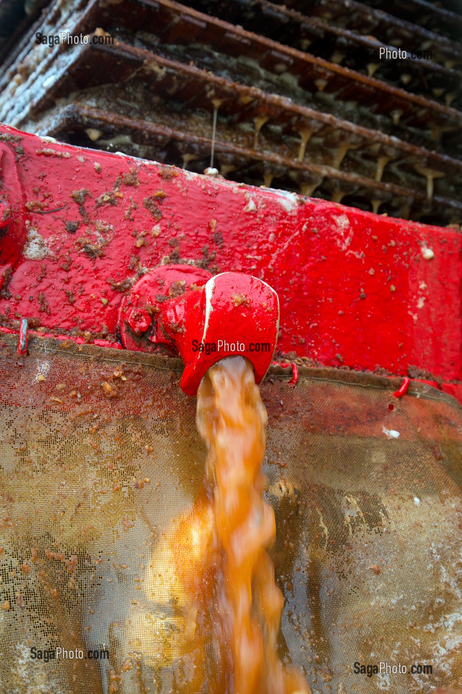 JUS DE POMMES A LA SORTIE DU PRESSOIR HYDRAULIQUE, FABRICATION DU CIDRE FERMIER, EXPLOITATION AGRICOLE DE CLAUDE COURBE, RUGLES (27), FRANCE 