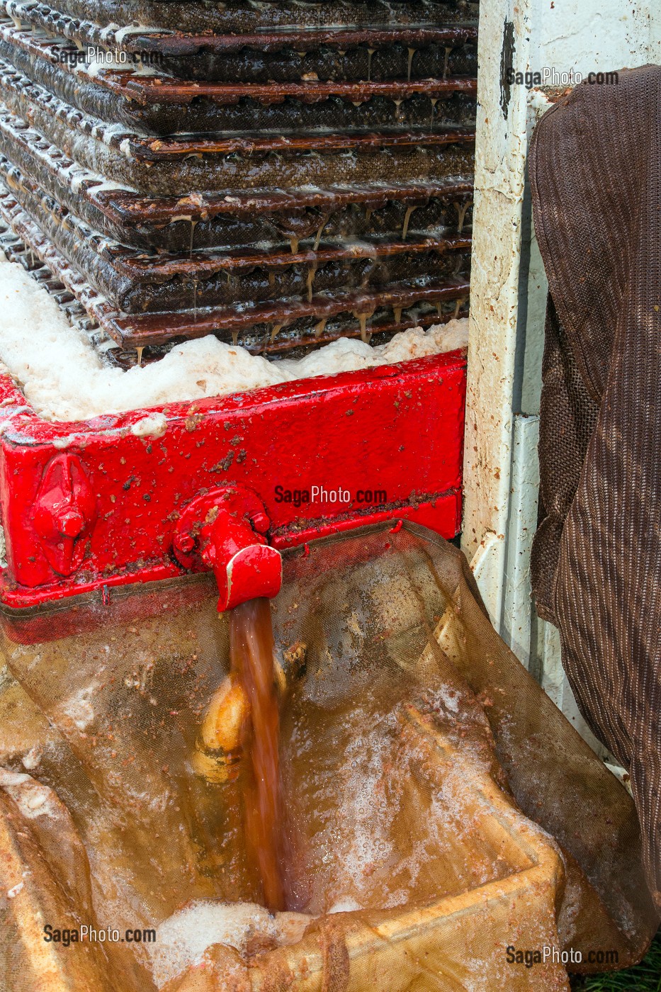 JUS DE POMMES A LA SORTIE DU PRESSOIR HYDRAULIQUE, FABRICATION DU CIDRE FERMIER, EXPLOITATION AGRICOLE DE CLAUDE COURBE, RUGLES (27), FRANCE 