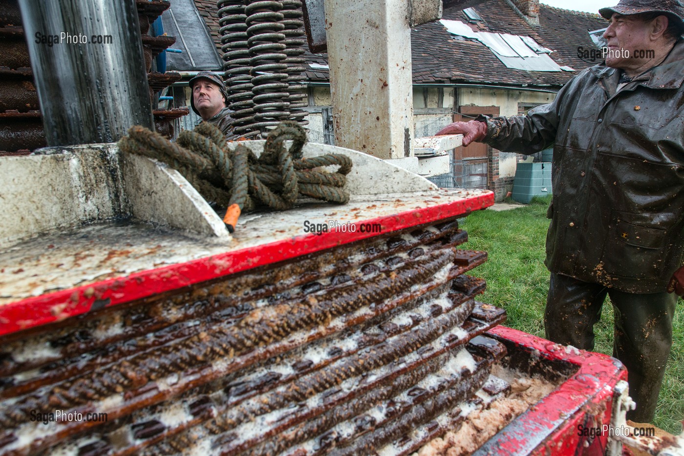 TOILES DE JUTE REMPLIES DE POMMES BROYEES ENTRE LES CLAIES EN BOIS SOUS LE PRESSOIR HYDRAULIQUE POUR EXTRAIRE LE JUS, FABRICATION DU CIDRE FERMIER, EXPLOITATION AGRICOLE DE CLAUDE COURBE, RUGLES (27), FRANCE 