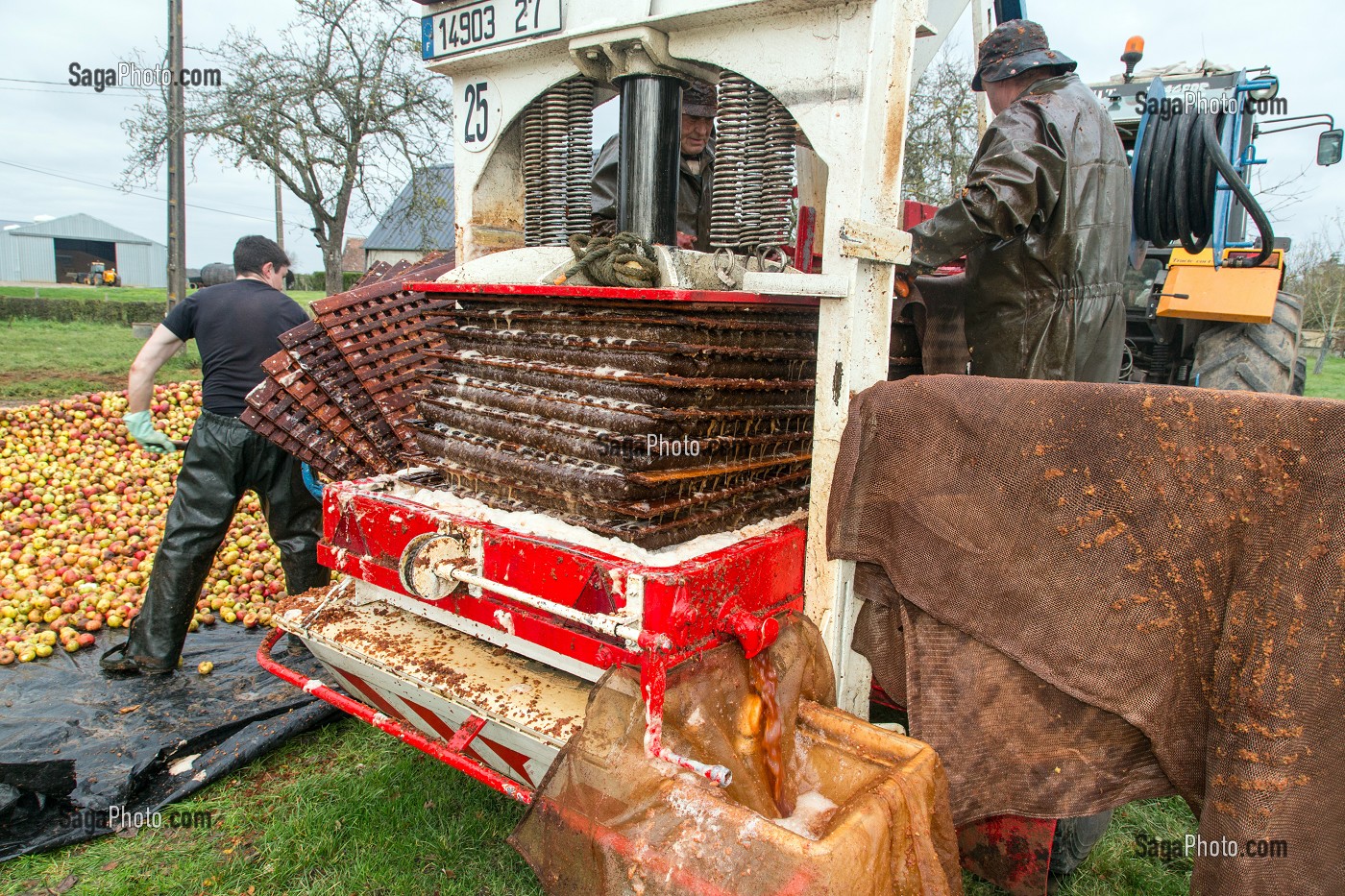 PRESSOIR HYDRAULIQUE DU PILEUR A LA FERME POUR LE PILAGE DES POMMES POUR LA FABRICATION DU CIDRE FERMIER, EXPLOITATION AGRICOLE DE CLAUDE COURBE, RUGLES (27), FRANCE 