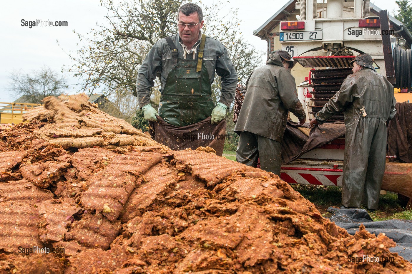 OUVRIERS AGRICOLES QUI VIDENT LES TOILES DE JUTE DES RESIDUS DE PULPE DE POMMES A CIDRE PRESSEES, FABRICATION DU CIDRE FERMIER, EXPLOITATION AGRICOLE DE CLAUDE COURBE, RUGLES (27), FRANCE 