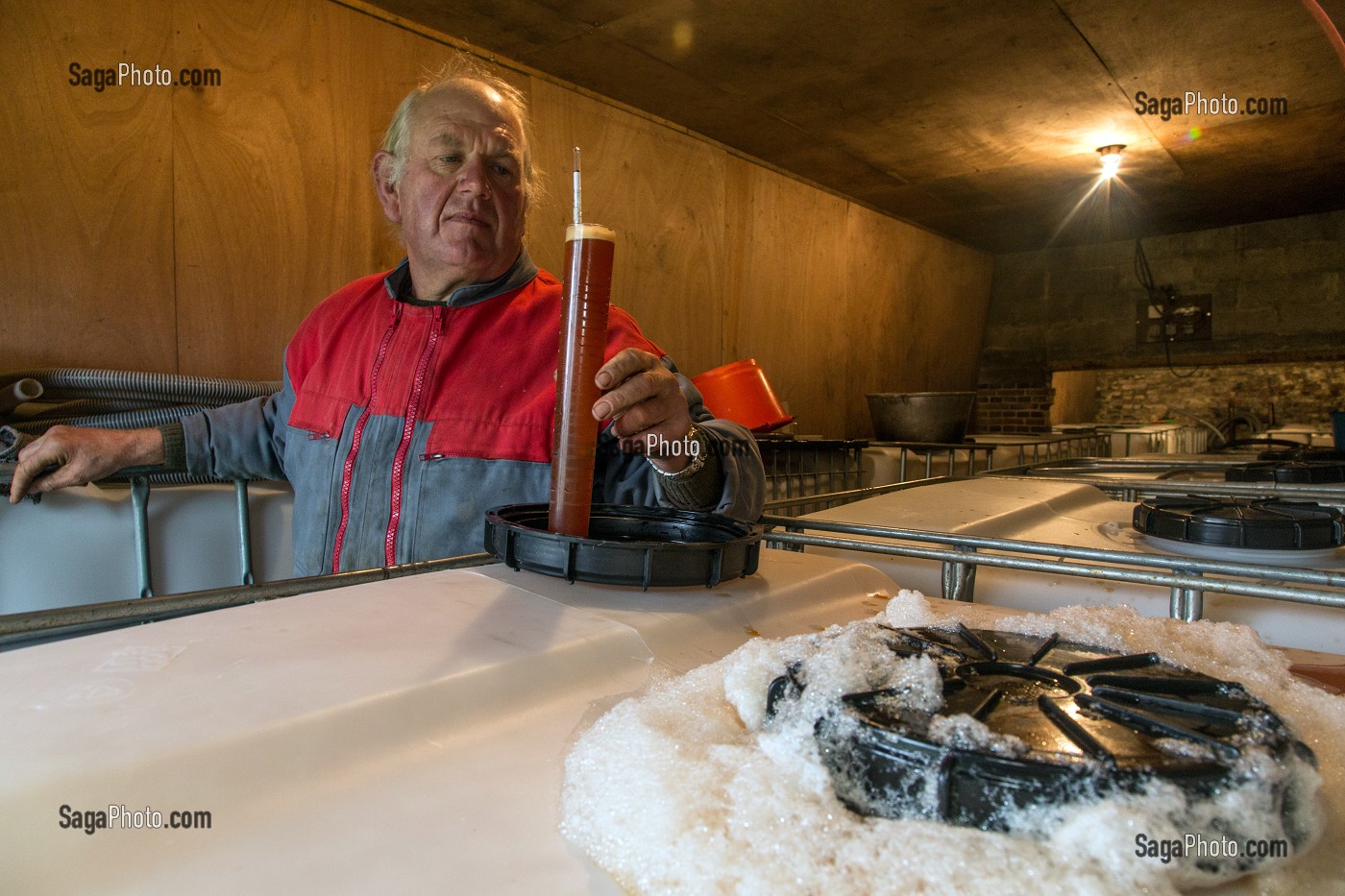 EXPLOITANT AGRICOLE DANS LA CAVE DE LA FERME, MESURE AU DENSIMETRE DU TAUX DE SUCRE DANS LE JUS DE POMMES, FABRICATION DU CIDRE FERMIER, EXPLOITATION AGRICOLE DE CLAUDE COURBE, RUGLES (27), FRANCE 