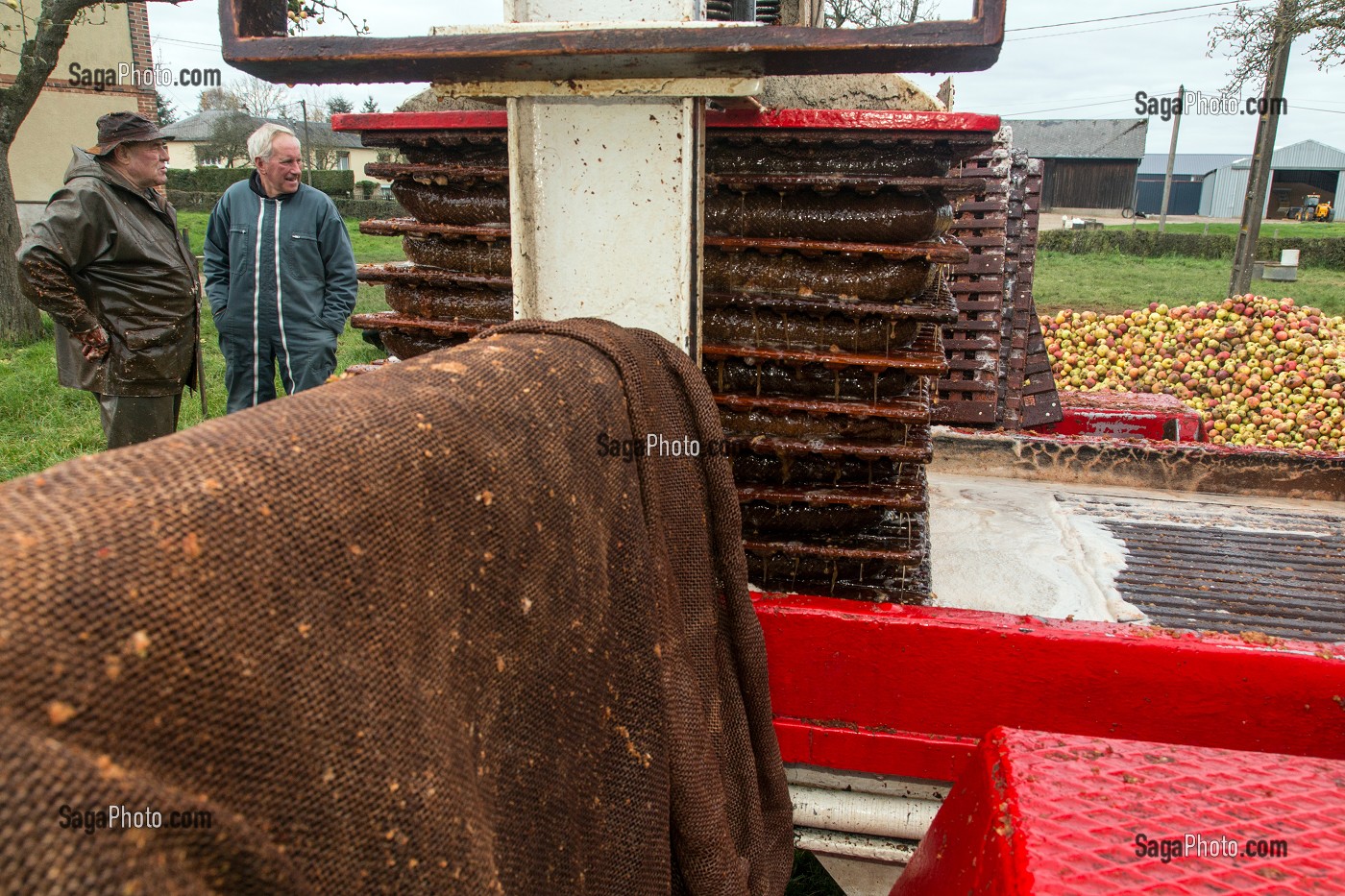 OUVRIER AGRICOLE ET EXPLOITANT DEVANT LE PRESSOIR A LA FERME, FABRICATION DU CIDRE FERMIER, EXPLOITATION AGRICOLE DE CLAUDE COURBE, RUGLES (27), FRANCE 