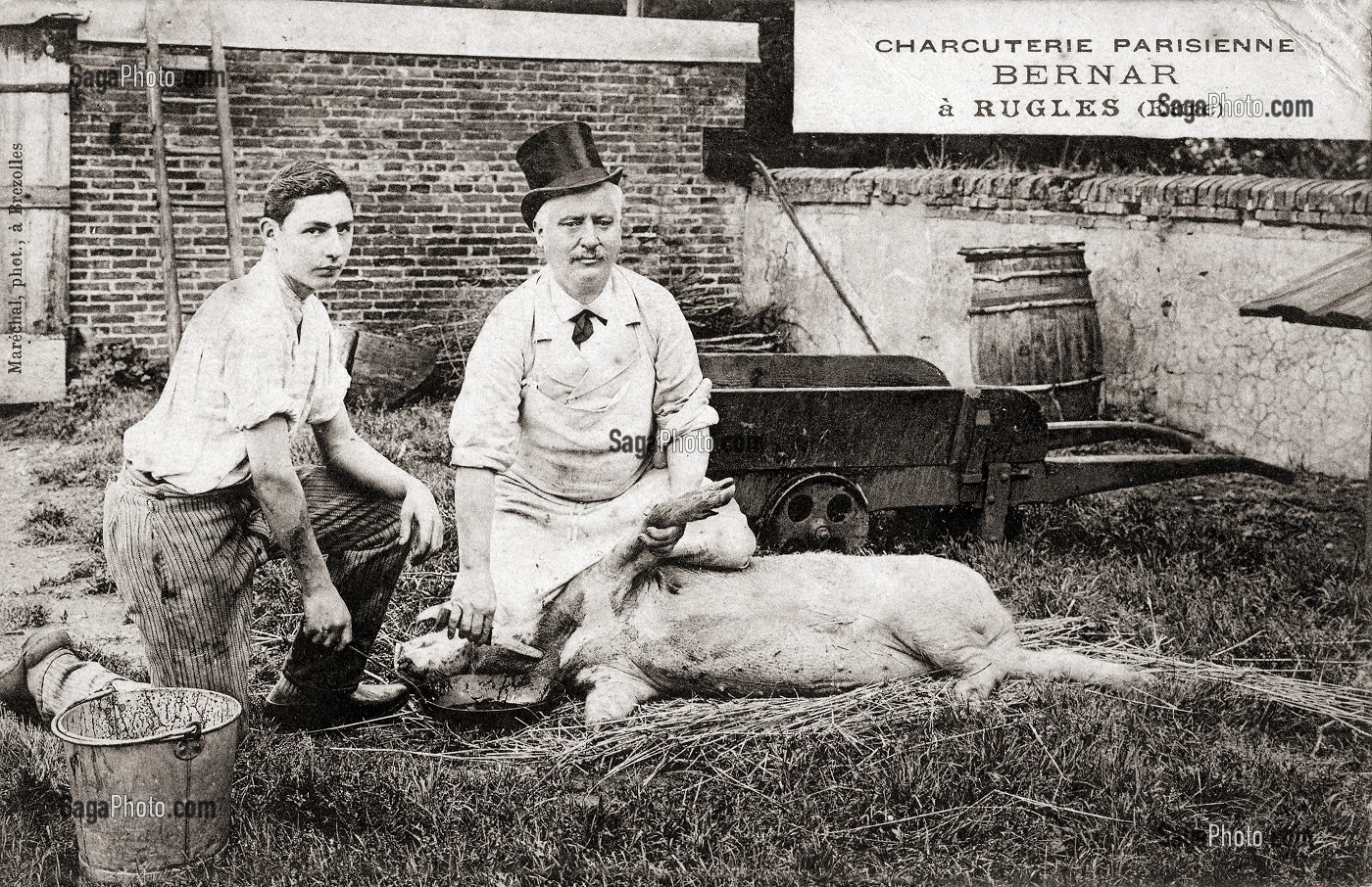 CHARCUTERIE PARISIENNE BERNAR, BOUCHER-CHARCUTIER ET SON APPRENTI EN TRAIN D'EGORGER UN COCHON A LA FERME, CARTE POSTALES ANCIENNE, COLLECTION DE LA VILLE DE RUGLES, EURE (27), FRANCE 