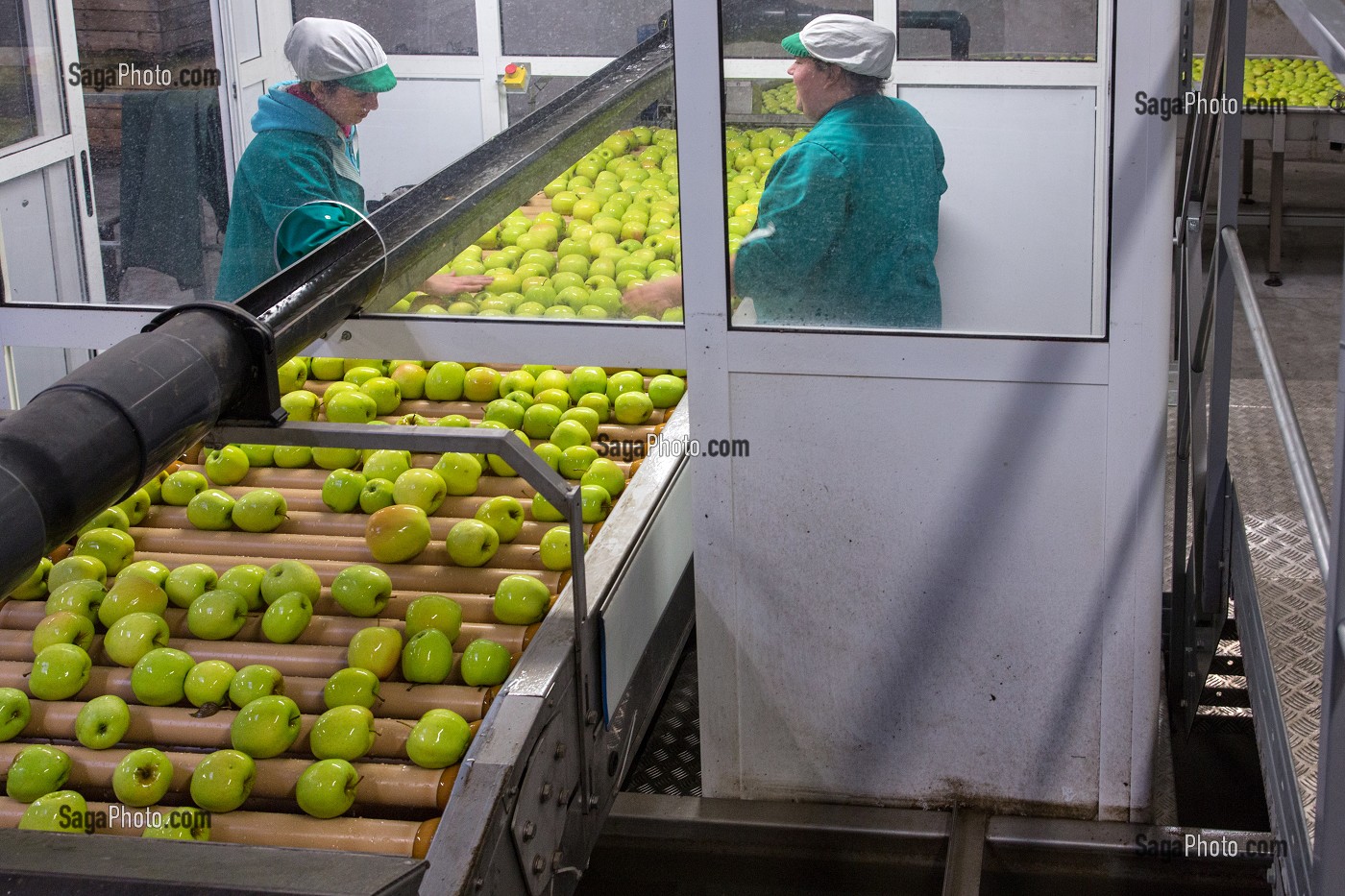 STATION DE LAVAGE DES GOLDENS, COOPERATIVE LIMDOR BIO, STATION FRUITIERE, REGROUPEMENT DE POMICULTEURS PRODUCTEURS DE POMMES DU LIMOUSIN, AOP, SAINT-YRIEIX-LA-PERCHE, (87) HAUTE-VIENNE, LIMOUSIN, FRANCE 