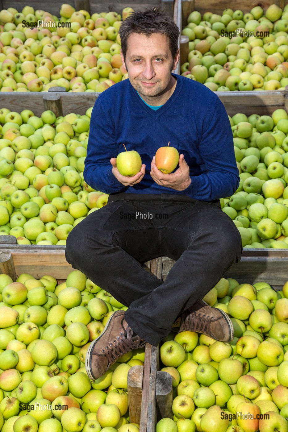 LAURENT ROUGERIE, PRODUCTEUR DE POMMES ET PRESIDENT DU SYNDICAT AOP DES POMMES DU LIMOUSIN, SAINT-YRIEIX-LA-PERCHE, (87) HAUTE-VIENNE, LIMOUSIN, FRANCE 