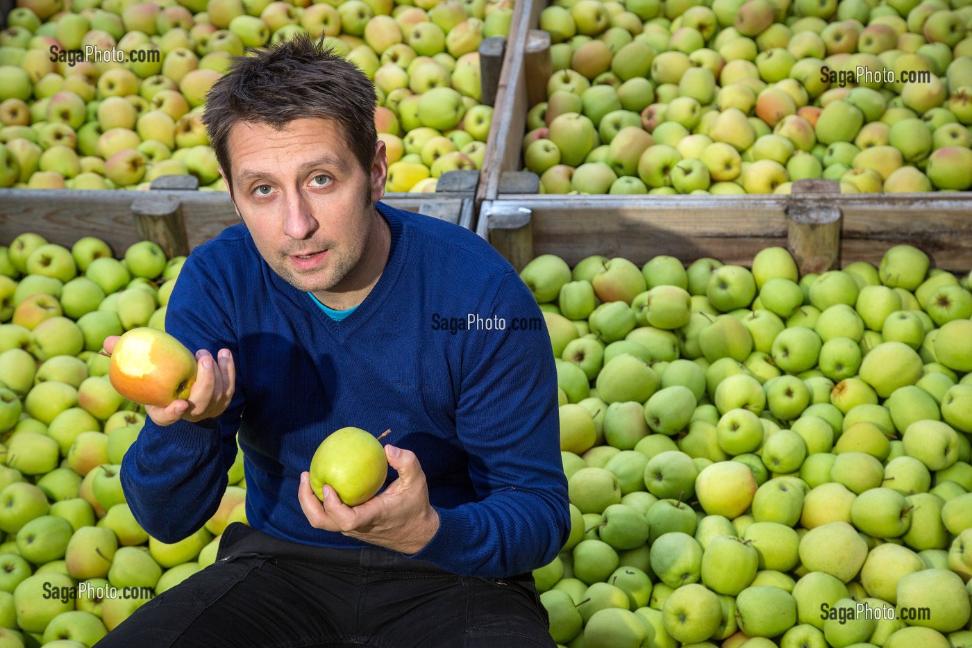 LAURENT ROUGERIE, PRODUCTEUR DE POMMES ET PRESIDENT DU SYNDICAT AOP DES POMMES DU LIMOUSIN, SAINT-YRIEIX-LA-PERCHE, (87) HAUTE-VIENNE, LIMOUSIN, FRANCE 