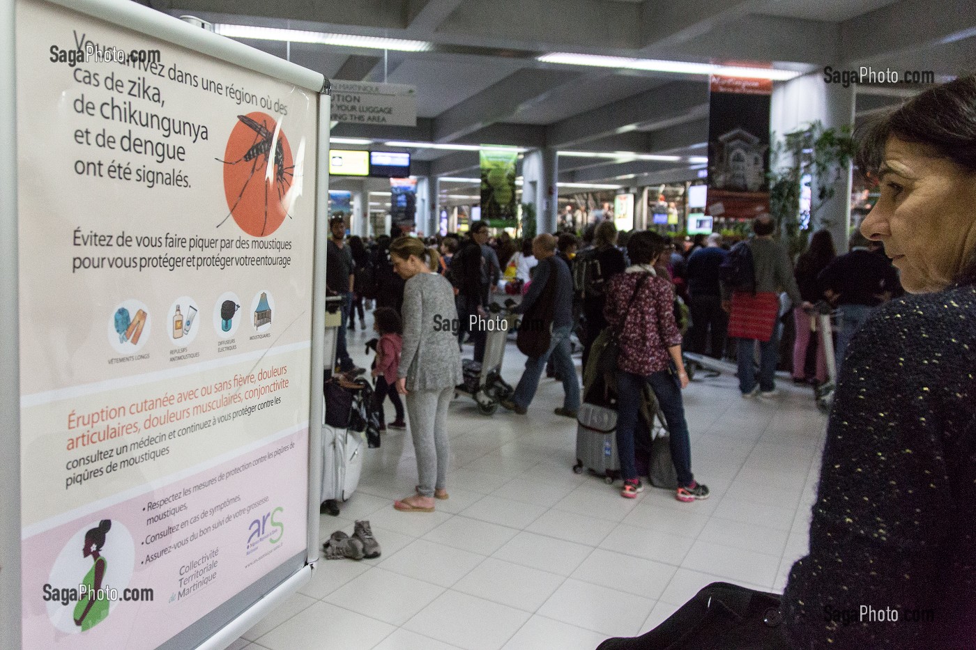 PANNEAU DE PREVENTION DE PRESENCE DES VIRUS ZIKA, CHIKUNGUNYA, DENGUE, CAMPAGNE D'AFFICHAGE DE L'AGENCE REGIONALE DE LA SANTE (ARS), AEROPORT DE FORT-DE-FRANCE, MARTINIQUE, FRANCE 