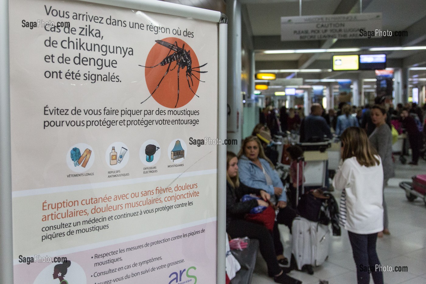 PANNEAU DE PREVENTION DE PRESENCE DES VIRUS ZIKA, CHIKUNGUNYA, DENGUE, CAMPAGNE D'AFFICHAGE DE L'AGENCE REGIONALE DE LA SANTE (ARS), AEROPORT DE FORT-DE-FRANCE, MARTINIQUE, FRANCE 