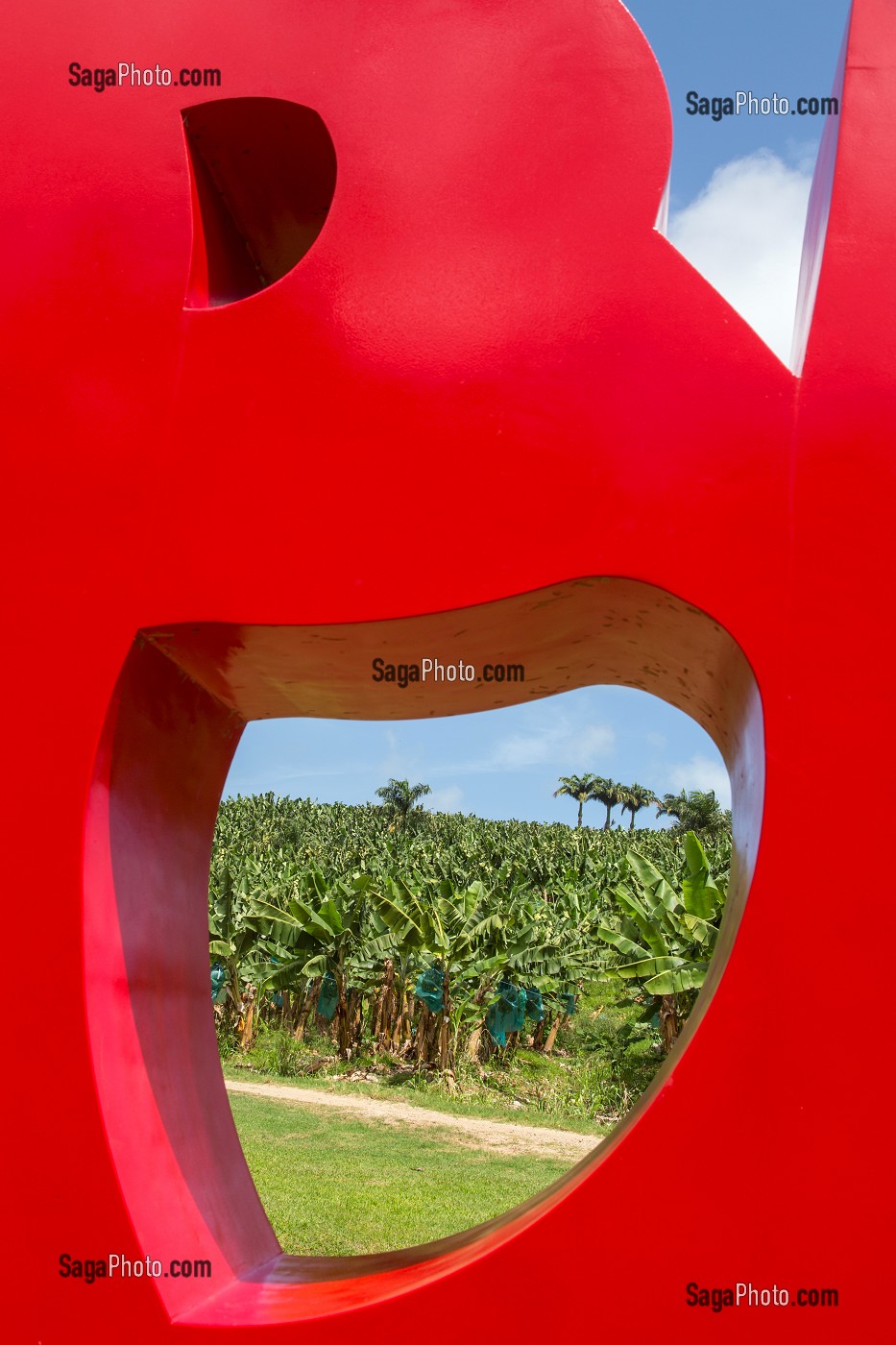 SCULPTURE D'ART CONTEMPORAIN, BLOOD DE THIERRY ALET, JARDIN TROPICAL DE L'HABITATION CLEMENT, ANCIENNE DISTILLERIE DE RHUM, RHUMERIE, LE FRANCOIS, MARTINIQUE, ANTILLES FRANCAISES, FRANCE 