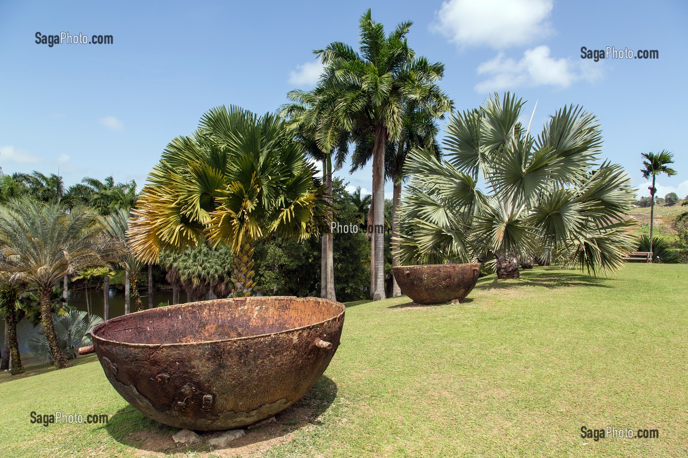 VIEILLES CUVES, ANCIEN CHAUDRON POUR CUIRE LA MELASSE, JARDIN BOTANIQUE DE PLANTES TROPICALES, HABITATION CLEMENT, ANCIENNE DISTILLERIE DE RHUM,  LE FRANCOIS, MARTINIQUE, ANTILLES FRANCAISES, FRANCE 