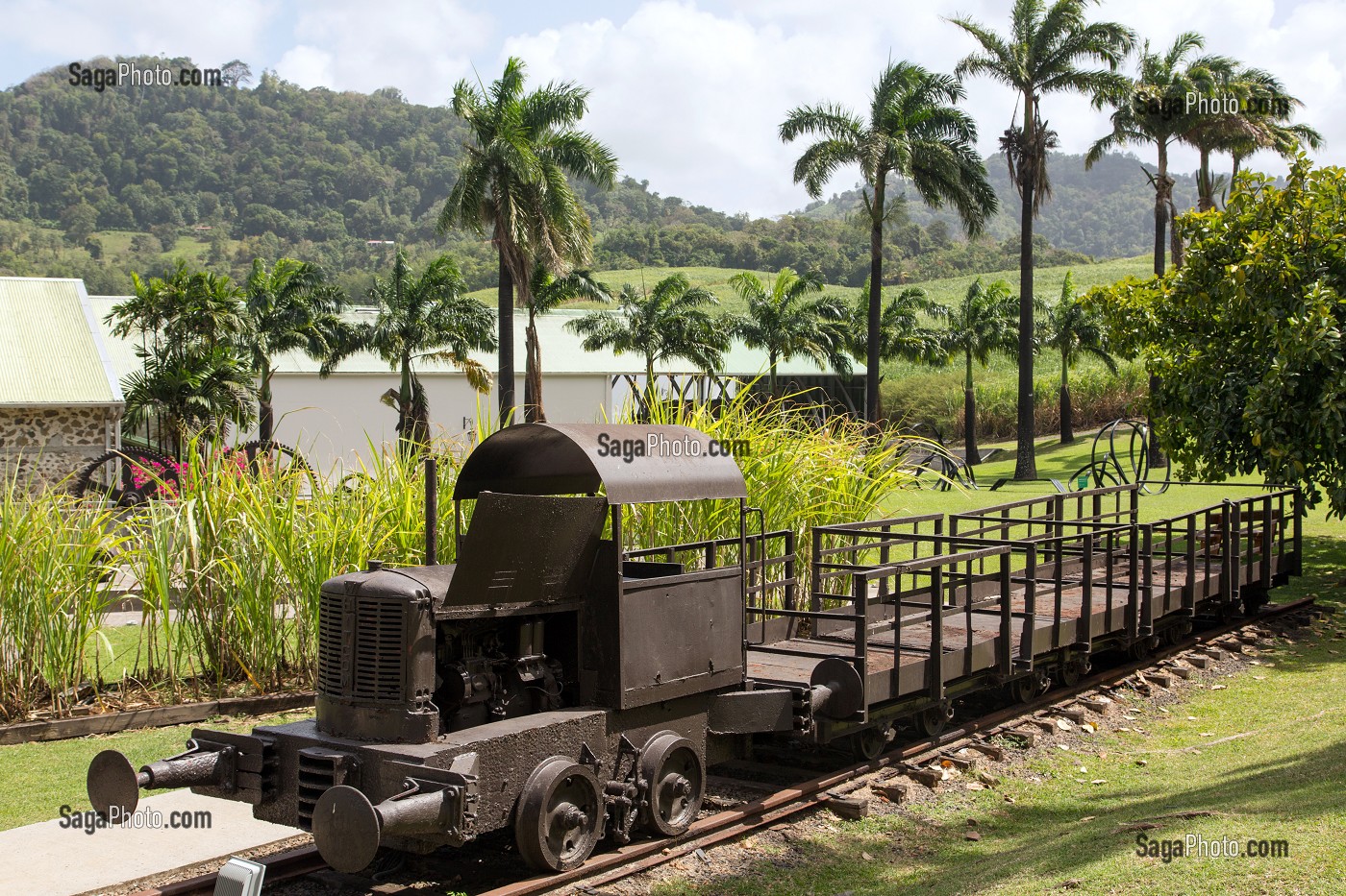 ANCIEN TRAIN DES PLANTATIONS DE CANNES A SUCRE DANS LE JARDIN TROPICAL AVEC CES PALMIERS, HABITATION CLEMENT, ANCIENNE DISTILLERIE DE RHUM, RHUMERIE, LE FRANCOIS, MARTINIQUE, ANTILLES FRANCAISES, FRANCE 
