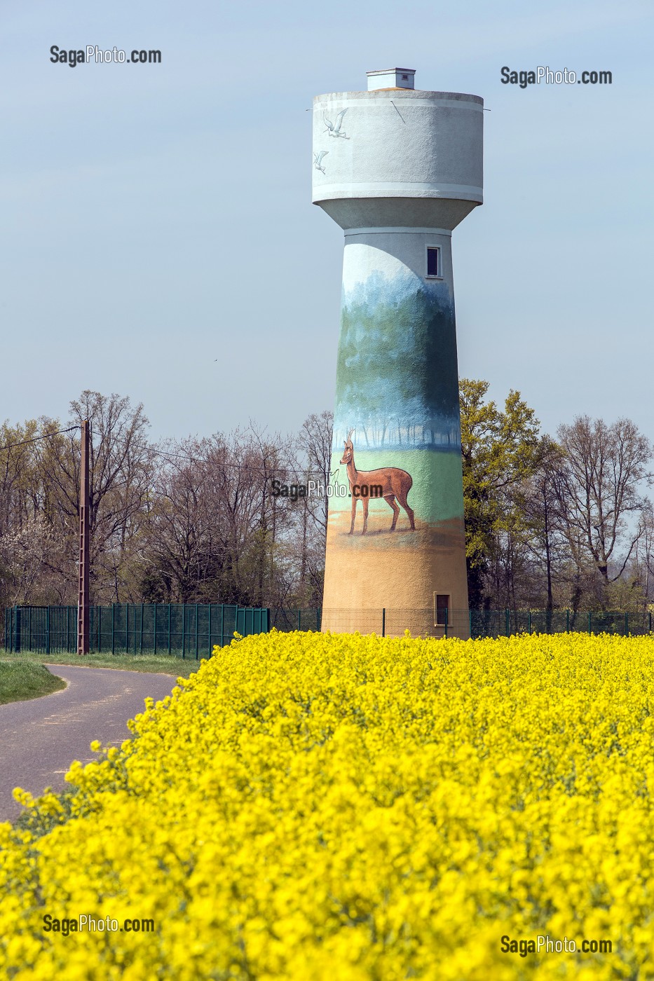 CHAMP DE COLZA ET CHATEAU PEINT SUR LE THEME DES ANIMAUX DE LA FORET, MAILLEBOIS (28), FRANCE 