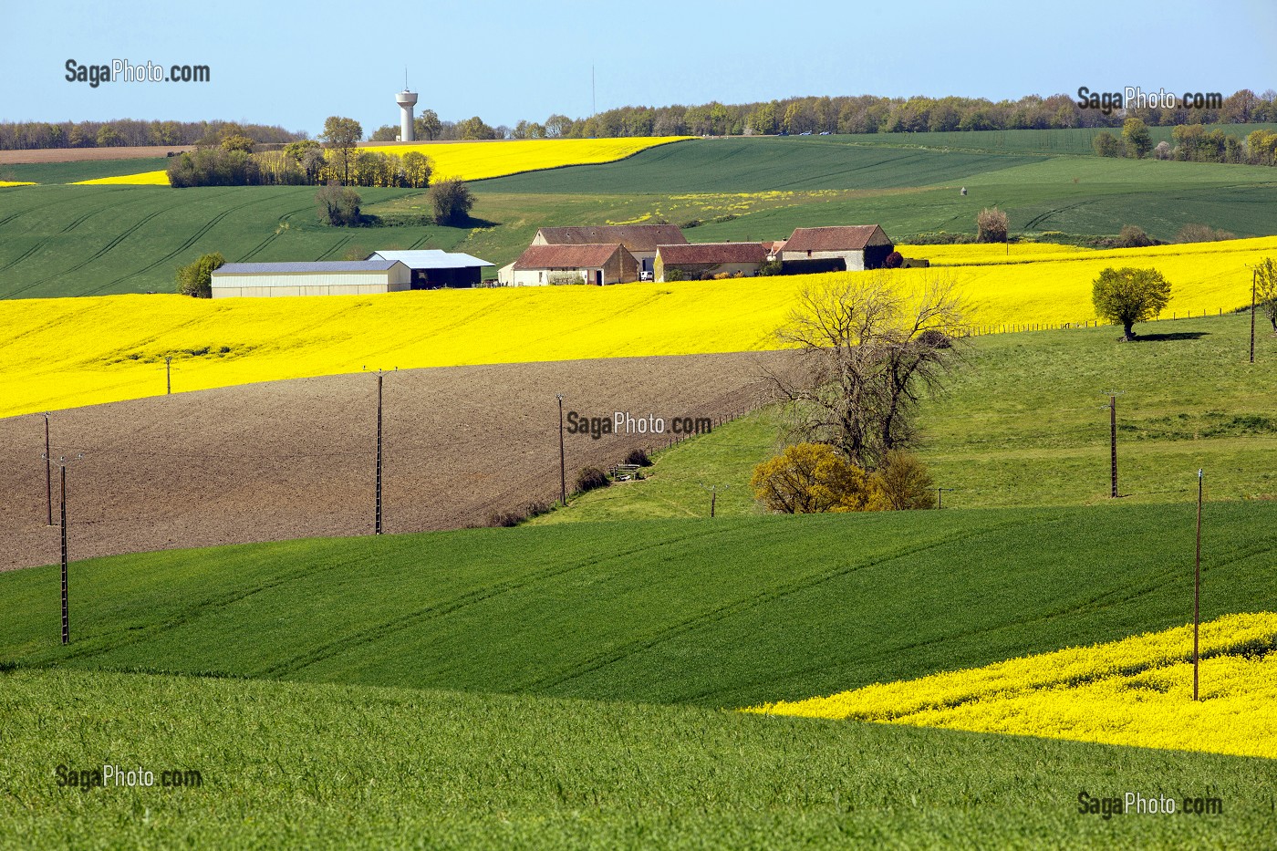 PAYSAGE DE PRINTEMPS AVEC LA FERME ET LES CHAMPS DE COLZA DANS LE PERCHE AUTOUR DE LA GAUDAINE, EURE-ET-LOIR (28), FRANCE 