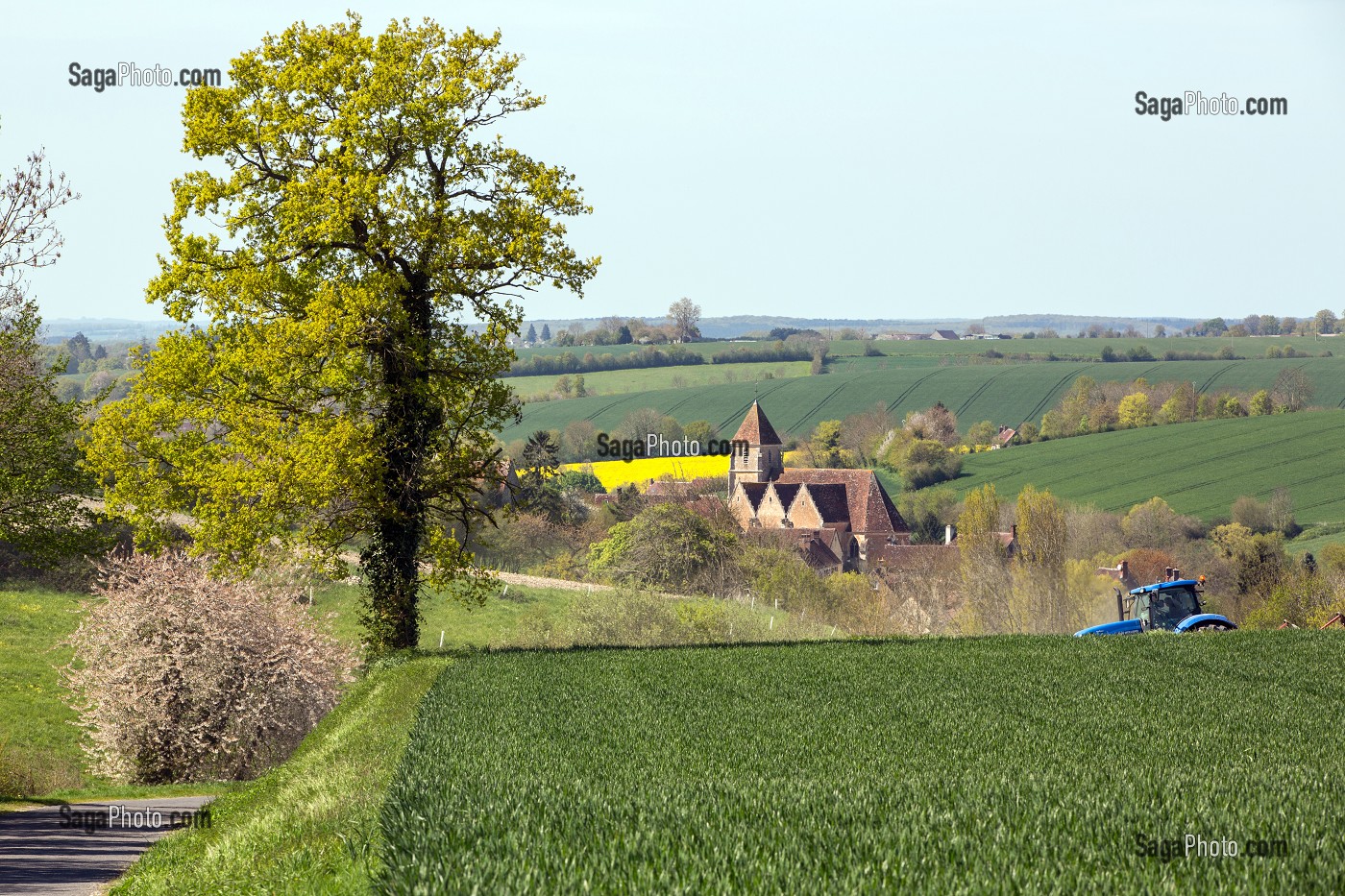 TRACTEUR DANS LES CHAMPS DE BLE AU PRINTEMPS, EGLISE ET VILLAGE DE VICHERES, PERCHE (28), FRANCE 