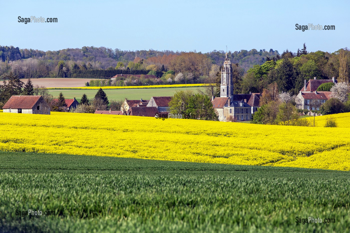 PAYSAGE DE PRINTEMPS AVEC LA FERME ET LES CHAMPS DE COLZA DANS LE PERCHE, VILLAGE DE LOISAIL PRES DE MORTAGNE-AU PERCHE, ORNE (61), FRANCE 