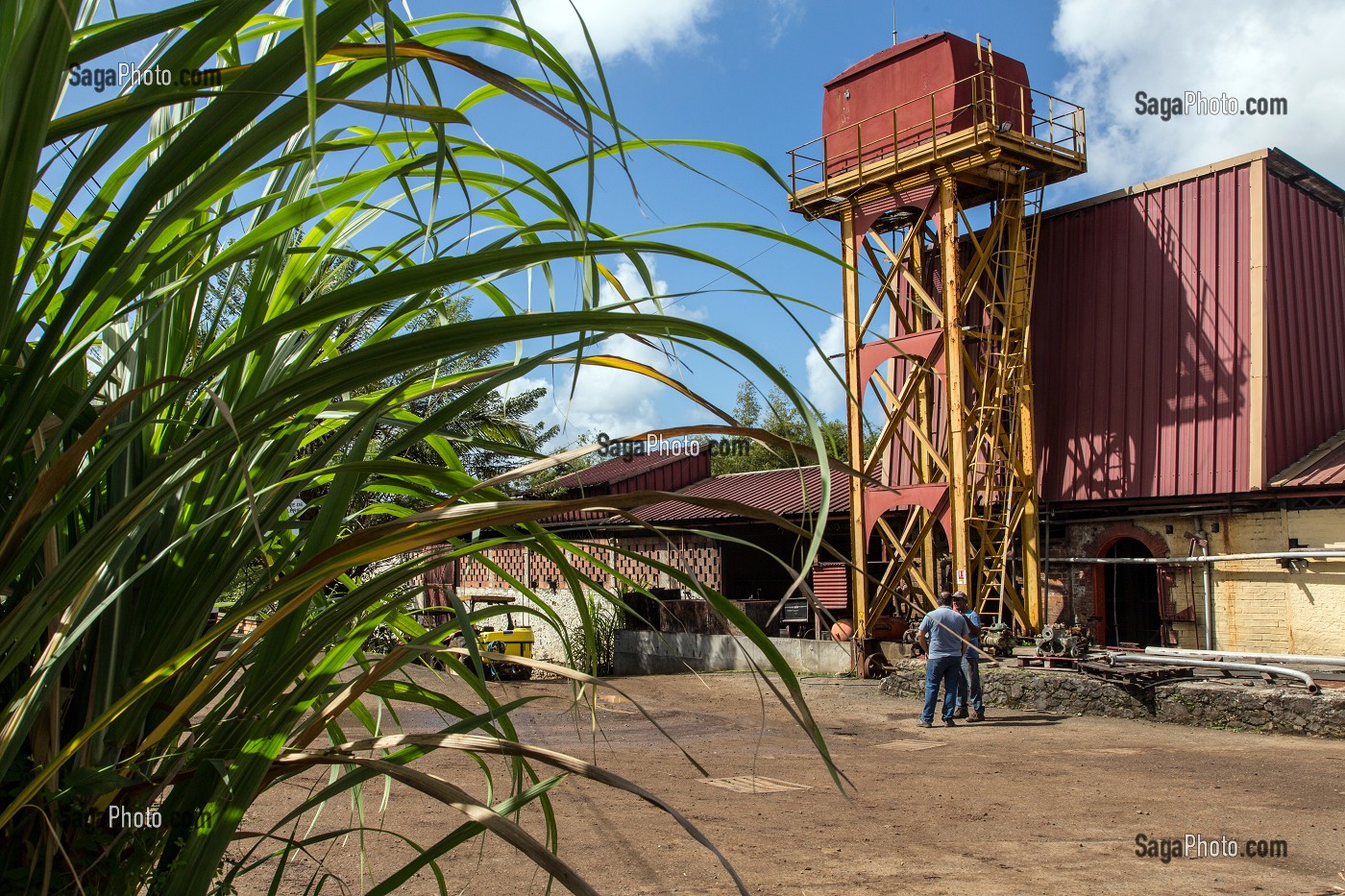 CANNE A SUCRE ET ENTREE DE LA DISTILLERIE DE RHUM LA FAVORITE, FORT-DE-FRANCE, MARTINIQUE, ANTILLES FRANCAISES, FRANCE 