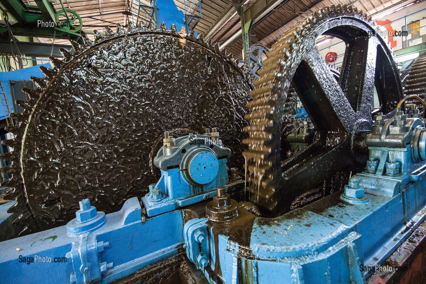 ROUE A ENGRENAGE DE LA MACHINE POUR BROYER ET EXTRAIRE LE JUS DE CANNE A SUCRE, DISTILLERIE DE RHUM LA FAVORITE, FORT-DE-FRANCE, MARTINIQUE, ANTILLES FRANCAISES, FRANCE 