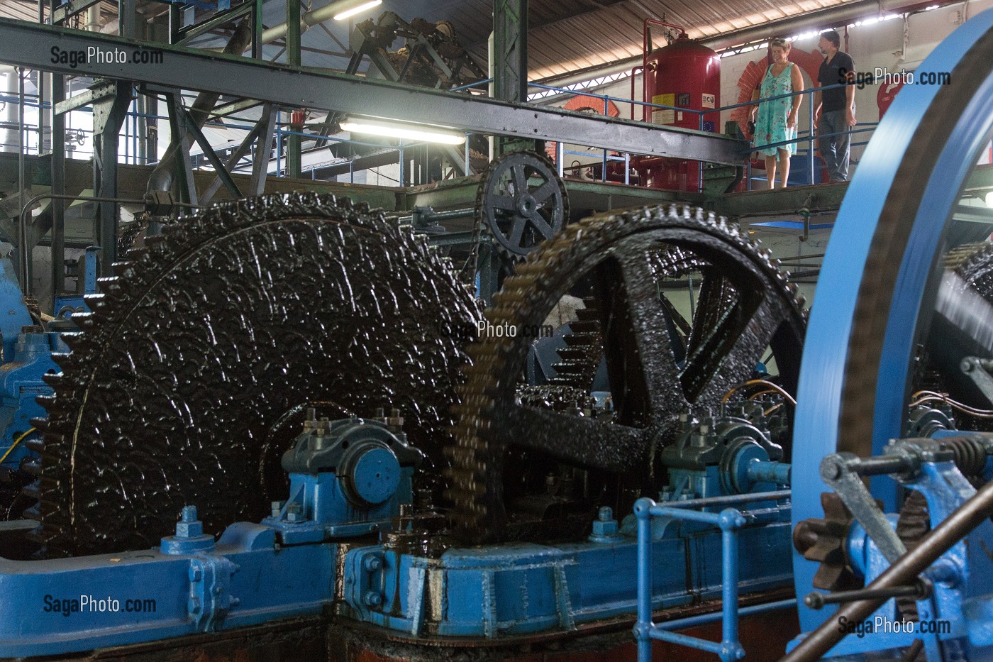 ROUE A ENGRENAGE DE LA MACHINE POUR BROYER ET EXTRAIRE LE JUS DE CANNE A SUCRE, DISTILLERIE DE RHUM LA FAVORITE, FORT-DE-FRANCE, MARTINIQUE, ANTILLES FRANCAISES, FRANCE 