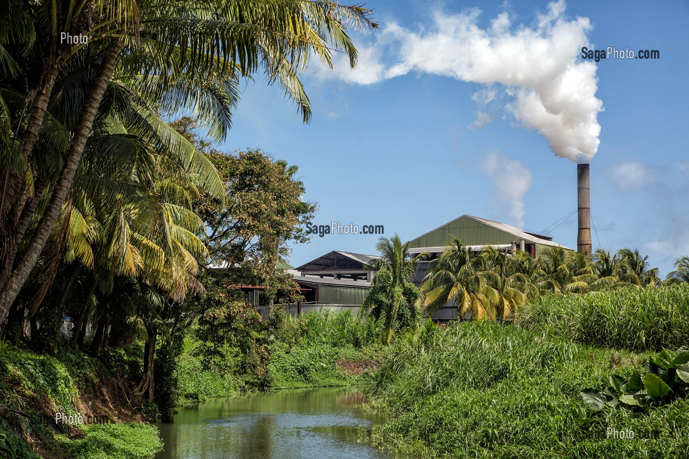 USINE ET CHEMINEE DE LA DISTILLERIE MARTINIQUAISE DES PLANTATIONS SAINT-JAMES, SAINTE-MARIE, MARTINIQUE, ANTILLES FRANCAISES, FRANCE 