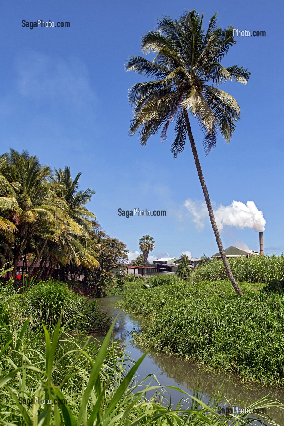 USINE ET CHEMINEE DE LA DISTILLERIE MARTINIQUAISE DES PLANTATIONS SAINT-JAMES, SAINTE-MARIE, MARTINIQUE, ANTILLES FRANCAISES, FRANCE 