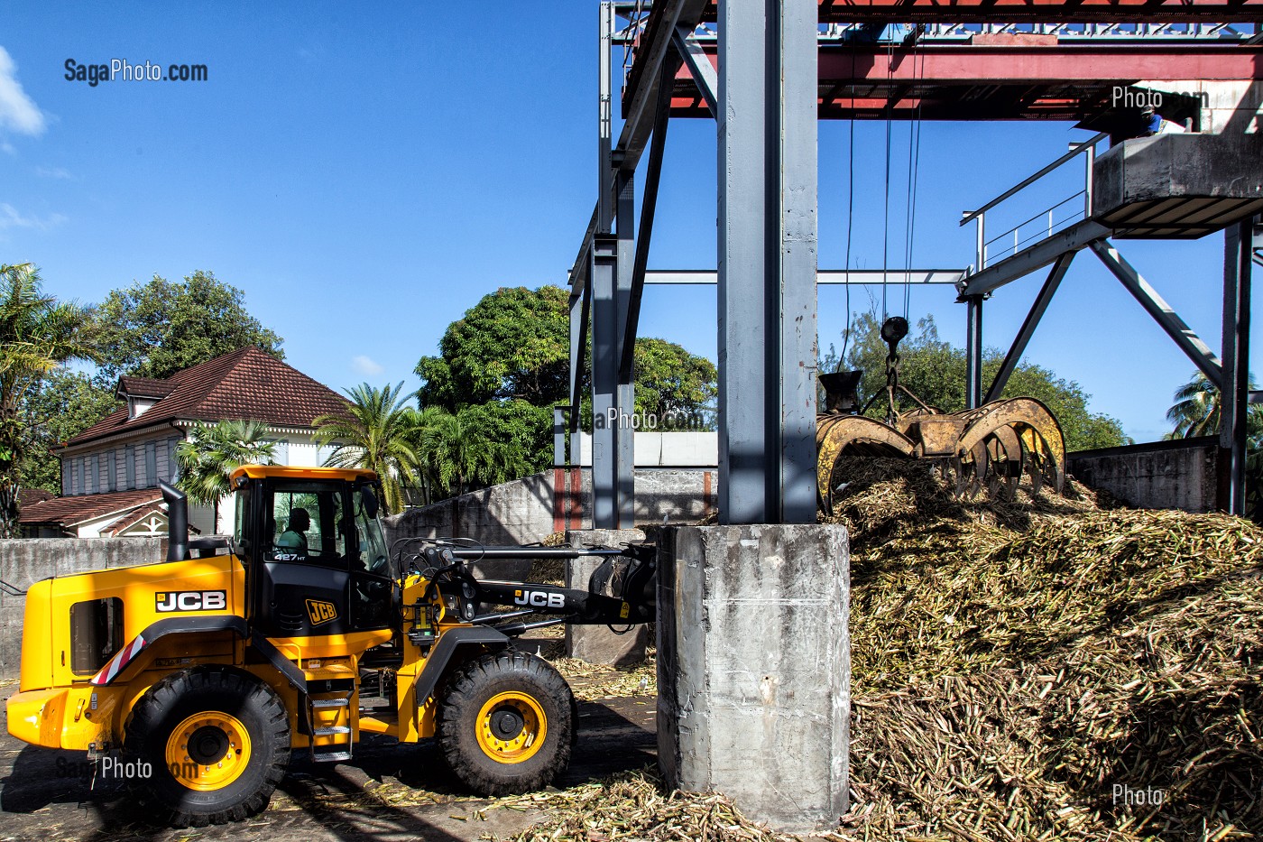 STOCKAGE DE TIGE DE CANNE SUCRE AVANT SON BROYAGE, DISTILLERIE DE RHUM MARTINIQUAISE DES PLANTATIONS SAINT-JAMES, SAINTE-MARIE, MARTINIQUE, ANTILLES FRANCAISES, FRANCE 