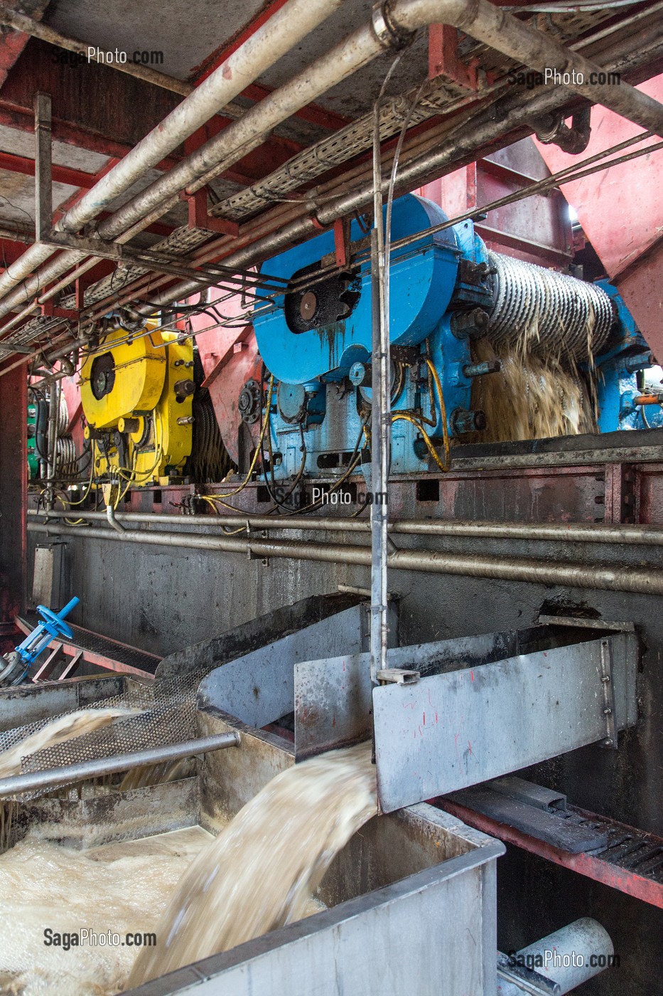 BROYAGE DES TIGES DE CANNES A SUCRE POUR EXTRAIRE LE JUS, DISTILLERIE MARTINIQUAISE DE RHUM DES PLANTATIONS SAINT-JAMES, SAINTE-MARIE, MARTINIQUE, ANTILLES FRANCAISES, FRANCE 