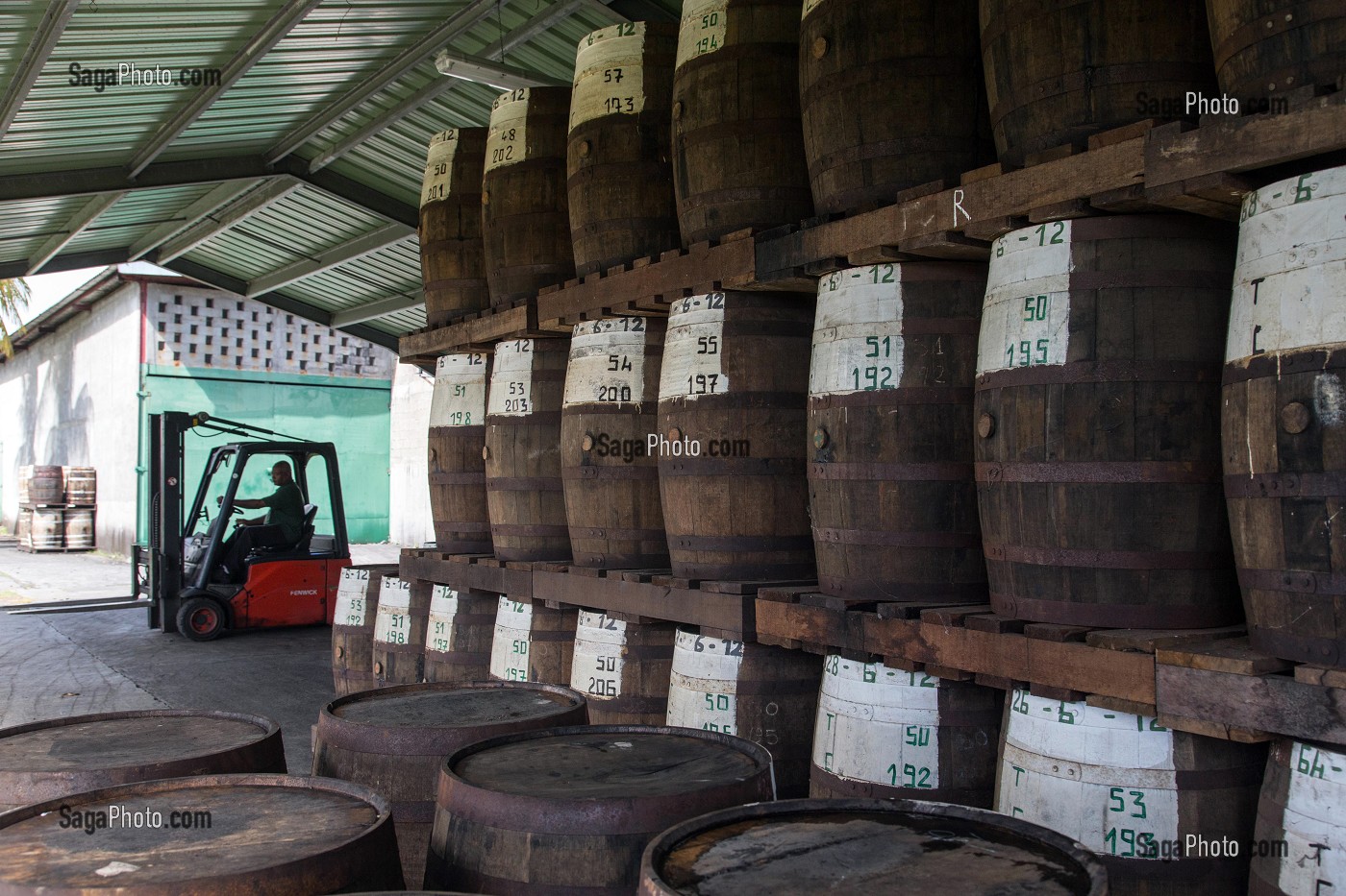 STOCKAGE DES TONNEAUX (VIEUX FUTS) DE RHUM, DISTILLERIE MARTINIQUAISE DES PLANTATIONS SAINT-JAMES, SAINTE-MARIE, MARTINIQUE, ANTILLES FRANCAISES, FRANCE 