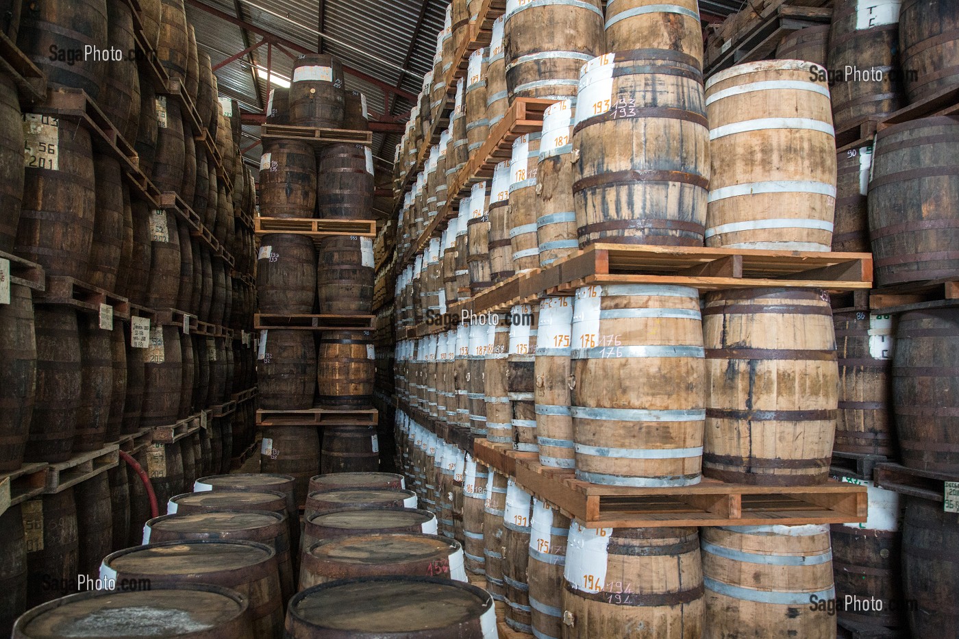 STOCKAGE DES TONNEAUX (VIEUX FUTS) DE RHUM, CAVE DE VIEILLISSEMENT DE LA DISTILLERIE MARTINIQUAISE DES PLANTATIONS SAINT-JAMES, SAINTE-MARIE, MARTINIQUE, ANTILLES FRANCAISES, FRANCE 