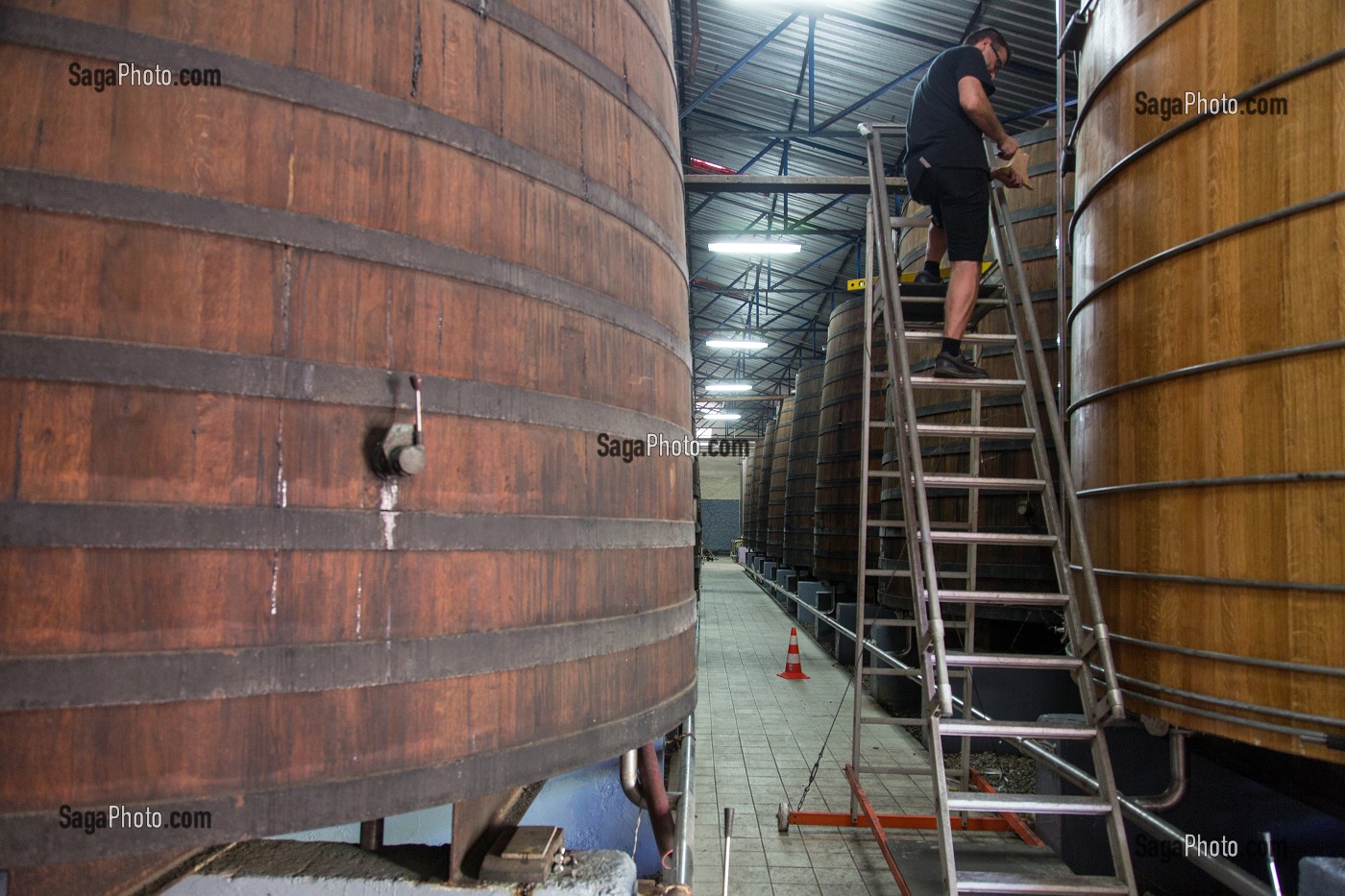 FOUDRE DE VIEILLISSEMENT DE RHUM, DISTILLERIE MARTINIQUAISE DES PLANTATIONS SAINT-JAMES, SAINTE-MARIE, MARTINIQUE, ANTILLES FRANCAISES, FRANCE 