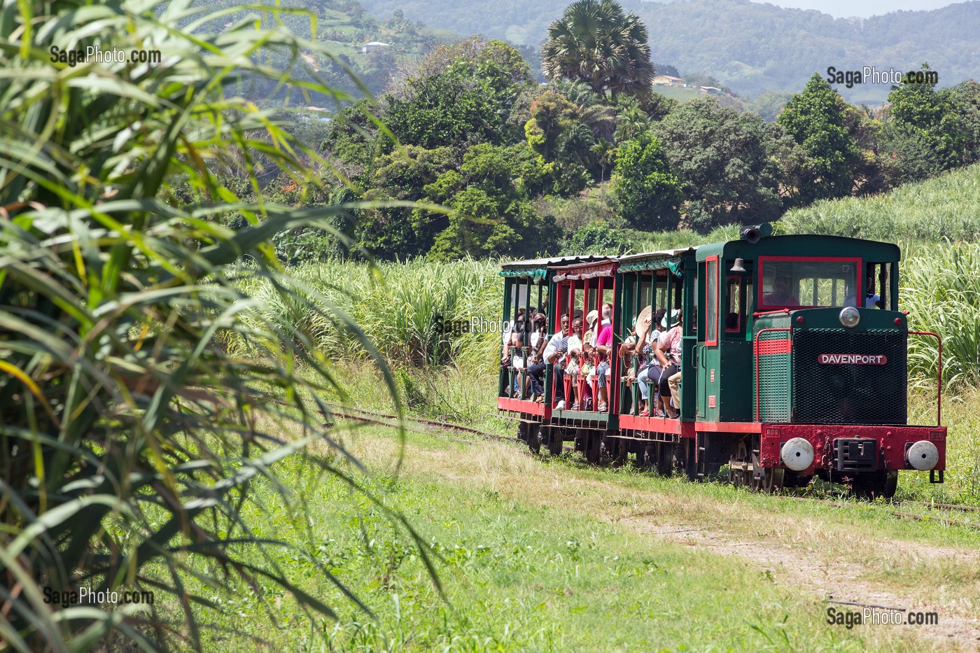 TRAIN DES PLANTATIONS (TOURISTIQUE) DE L'ASSOCIATION LES RAILS DE LA CANNE A SUCRE AU DEPART DE LA DISTILLERIE MARTINIQUAISE DES PLANTATIONS SAINT-JAMES, SAINTE-MARIE, MARTINIQUE, ANTILLES FRANCAISES, FRANCE 