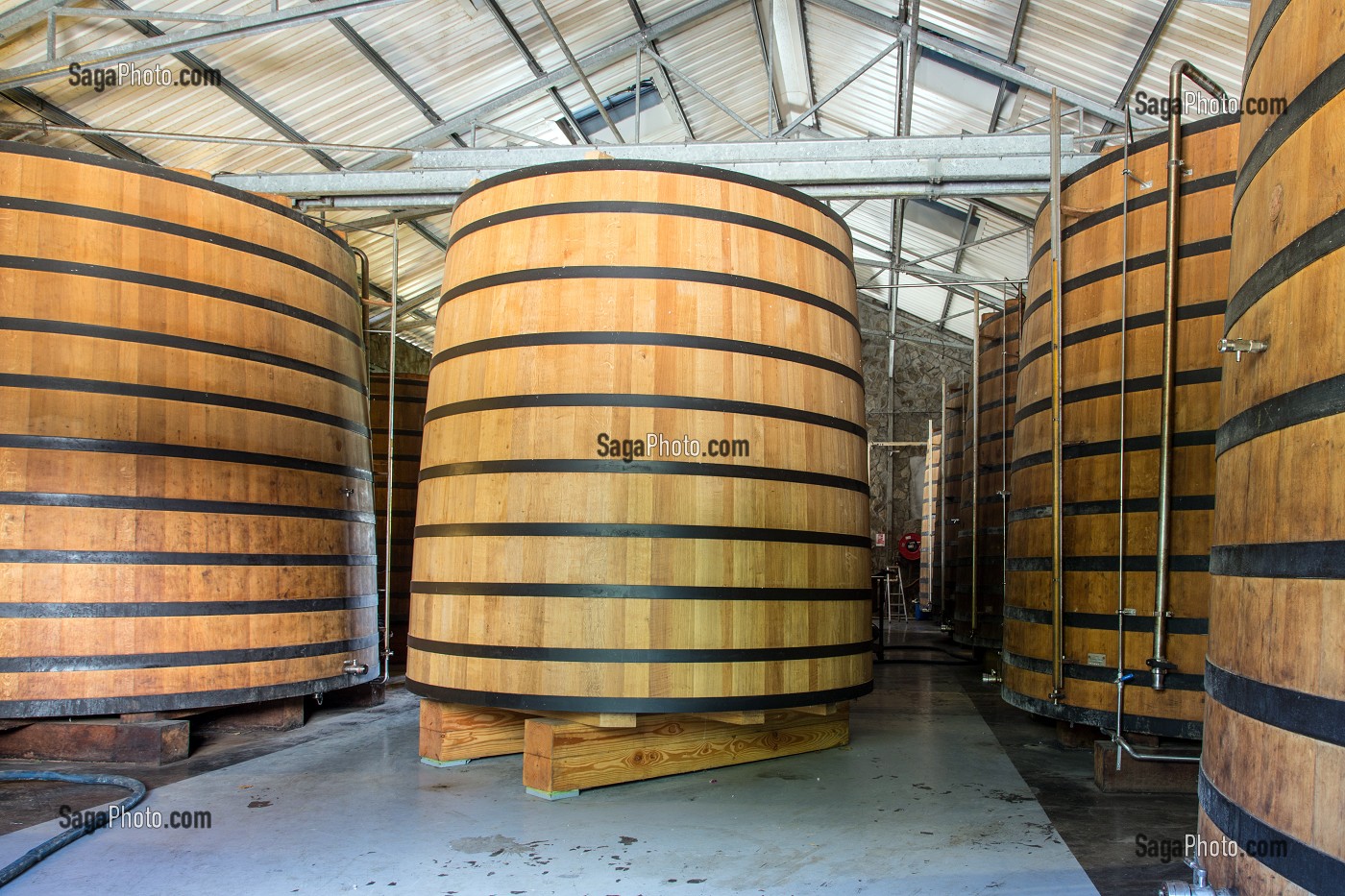 FOUDRE DE RHUM EN CHENE (GRAND FUT) DANS LA CAVE DE VIEILLISSEMENT, HABITATION CLEMENT, DOMAINE DE L'ACAJOU, LE FRANCOIS, MARTINIQUE, ANTILLES FRANCAISES, FRANCE 