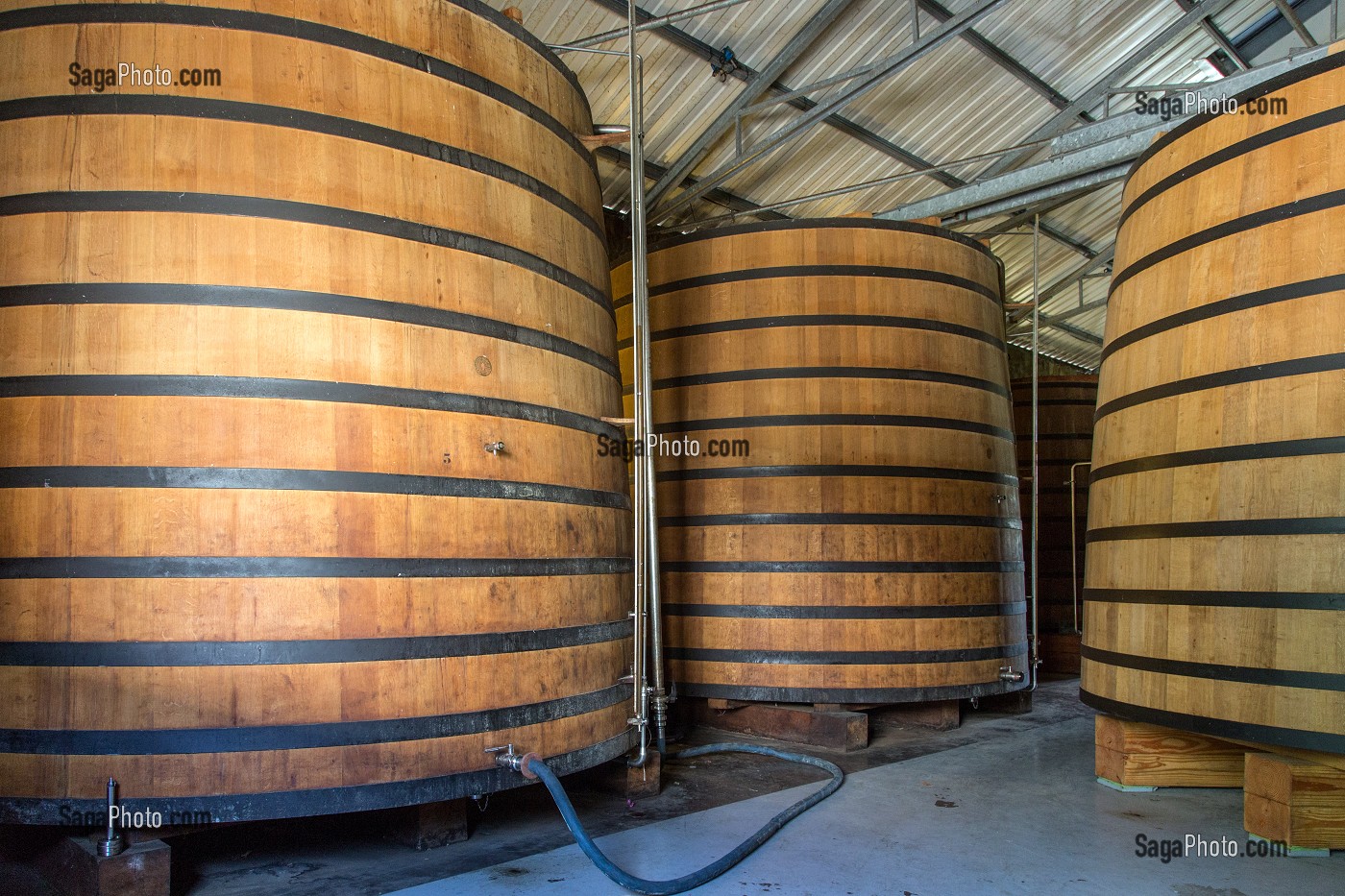 FOUDRE DE RHUM EN CHENE (GRAND FUT) DANS LA CAVE DE VIEILLISSEMENT, HABITATION CLEMENT, DOMAINE DE L'ACAJOU, LE FRANCOIS, MARTINIQUE, ANTILLES FRANCAISES, FRANCE 