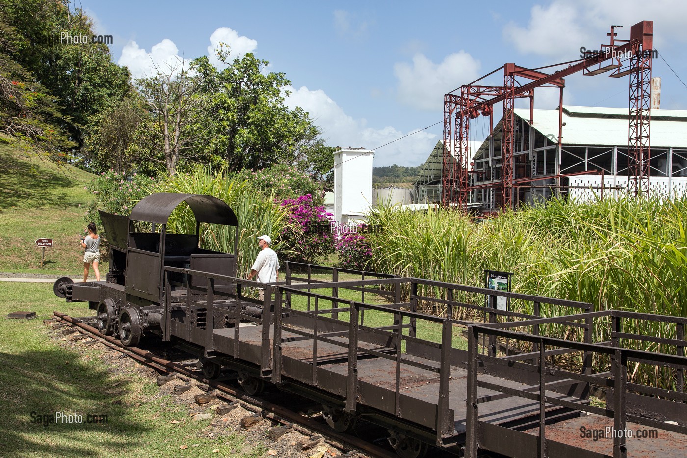 ANCIEN TRAIN POUR LA RECOLTE DE LA CANNE A SUCRE, VISITE DE L'ANCIENNE DISTILLERIE DE L'HABITATION CLEMENT, FABRICANT DE RHUM, LE FRANCOIS, MARTINIQUE, ANTILLES FRANCAISES, FRANCE 