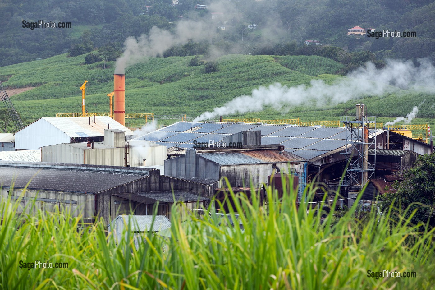 USINE SUCRIERE DU GALION, DERNIERE UNITE DE FABRICATION DE SUCRE DE CANNE AU MILIEU DES PLANTATIONS, LE GALION, LA TRINITE, MARTINIQUE, ANTILLES FRANCAISES, FRANCE 