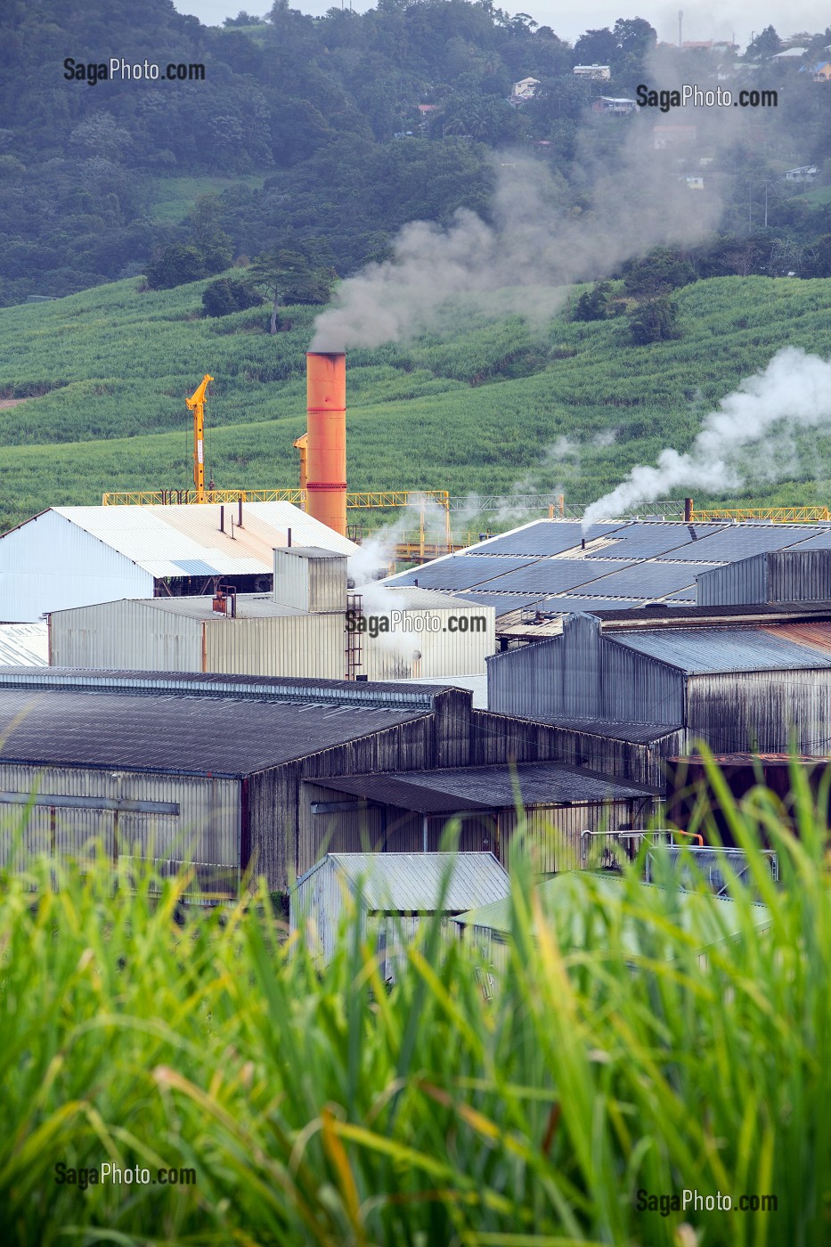 USINE SUCRIERE DU GALION, DERNIERE UNITE DE FABRICATION DE SUCRE DE CANNE AU MILIEU DES PLANTATIONS, LE GALION, LA TRINITE, MARTINIQUE, ANTILLES FRANCAISES, FRANCE 