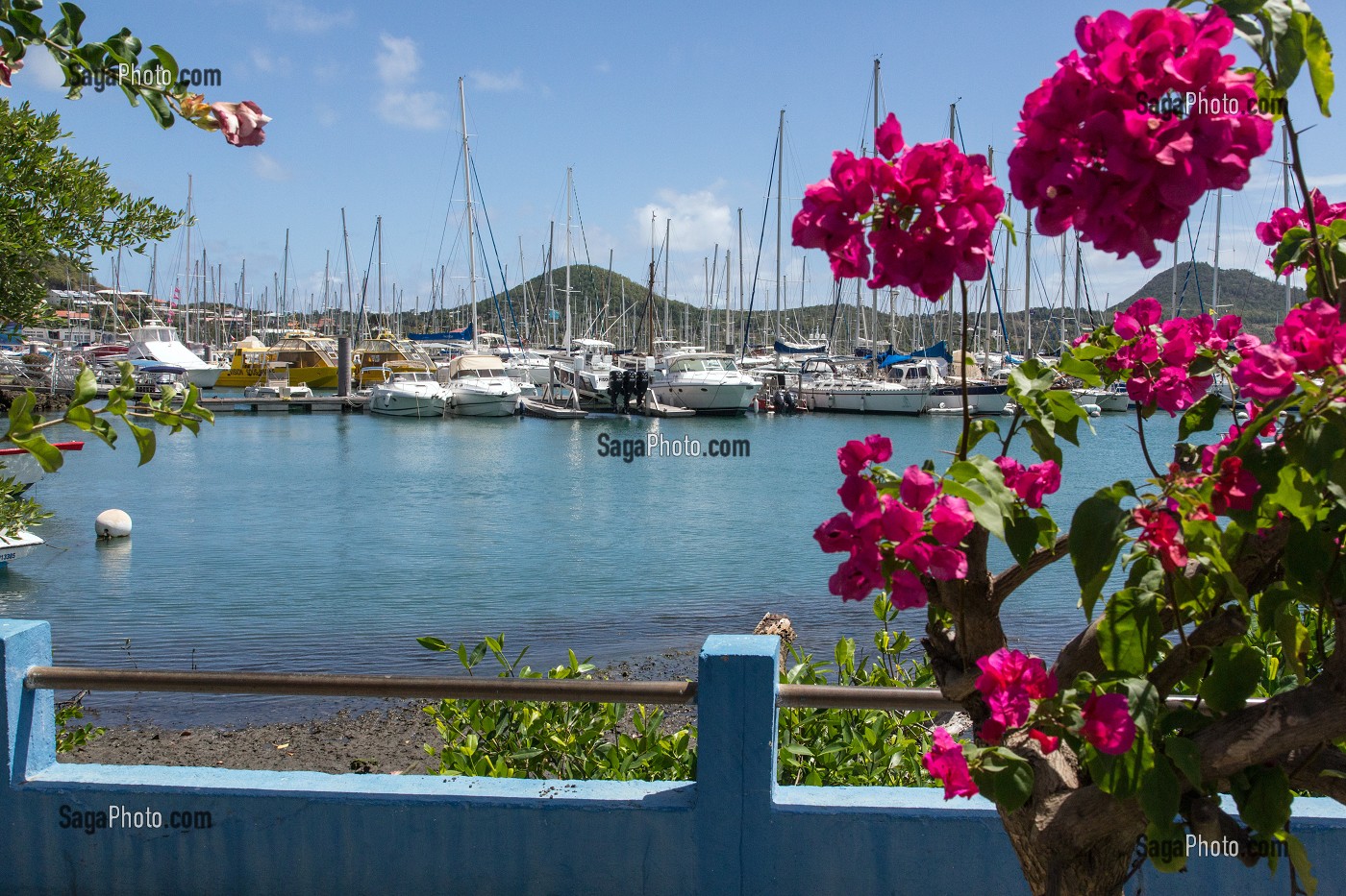 LE PORT DE PLAISANCE DE LA MARINA, LE MARIN, MARTINIQUE, ANTILLES FRANCAISES, FRANCE 