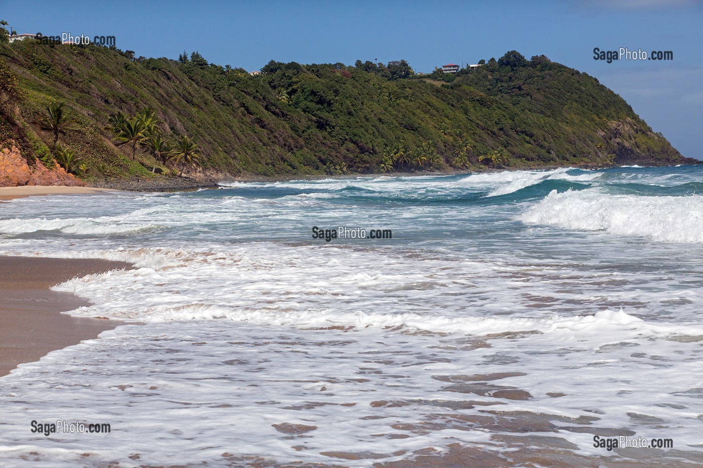 PLAGE DE L'ANSE CHARPENTIER, LE MARIGOT, MARTINIQUE, FRANCE 