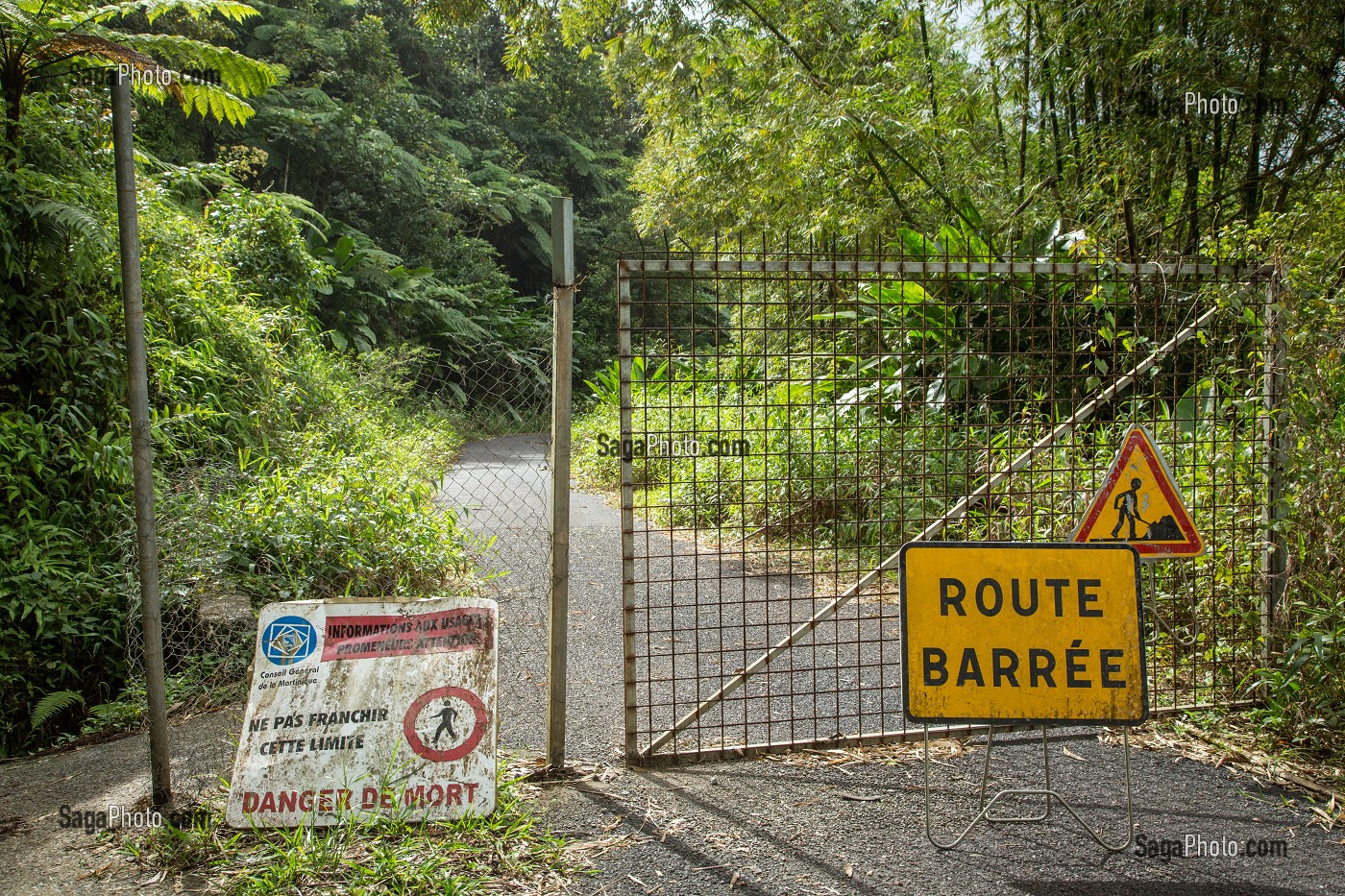 ROUTE BARREE AU MILIEU DE LA FORET TROPICALE, FONDS-SAINT-DENIS, MARTINIQUE, ANTILLES FRANCAISES, FRANCE 