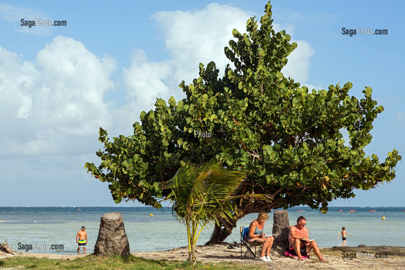 PLAGE DE LA POINTE FAULA, LE VAUCLIN, MARTINIQUE, ANTILLES FRANCAISES, FRANCE 