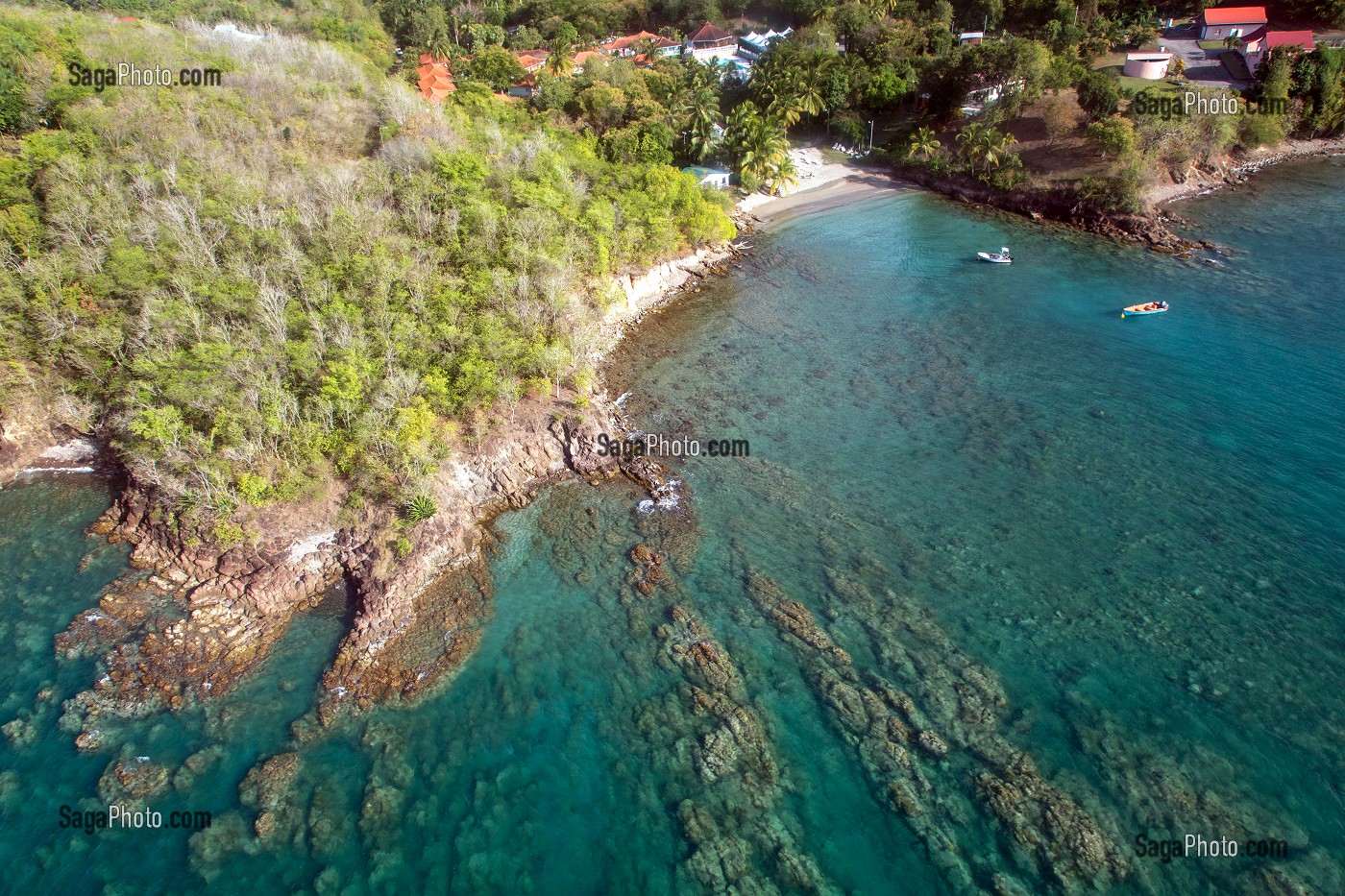 LES BORDS DE MER DE L'ANSE MITAN, LES TROIS ILETS, MARTINIQUE, ANTILLES FRANCAISES, FRANCE 