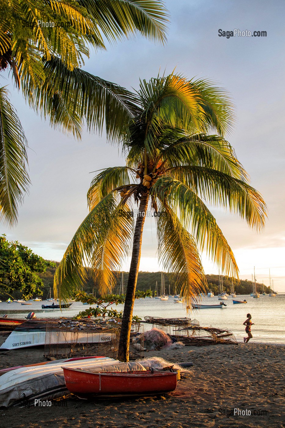 PLAGE, GRANDE ANSE D'ARLET, LES-ANSES-D'ARLET, MARTINIQUE, ANTILLES FRANCAISES, FRANCE 