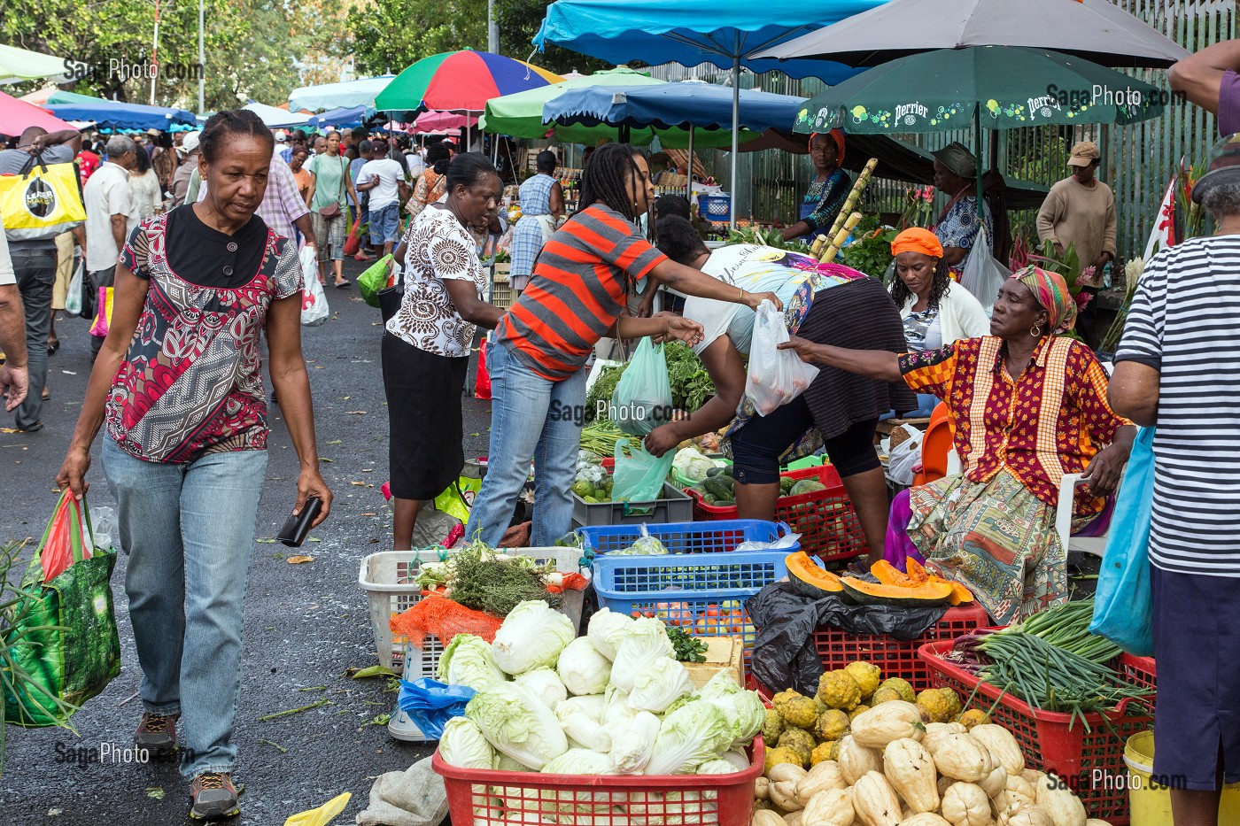 MARCHE AUX FRUITS ET LEGUMES, FORT-DE-FRANCE, MARTINIQUE, ANTILLES FRANCAISES, FRANCE 