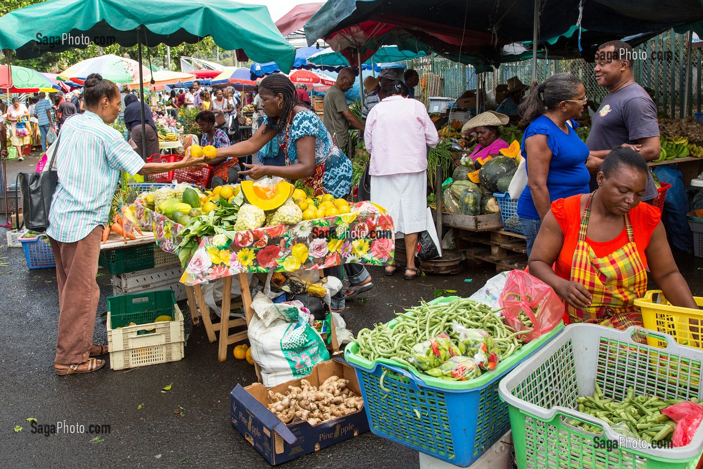 MARCHE AUX FRUITS ET LEGUMES, FORT-DE-FRANCE, MARTINIQUE, ANTILLES FRANCAISES, FRANCE 