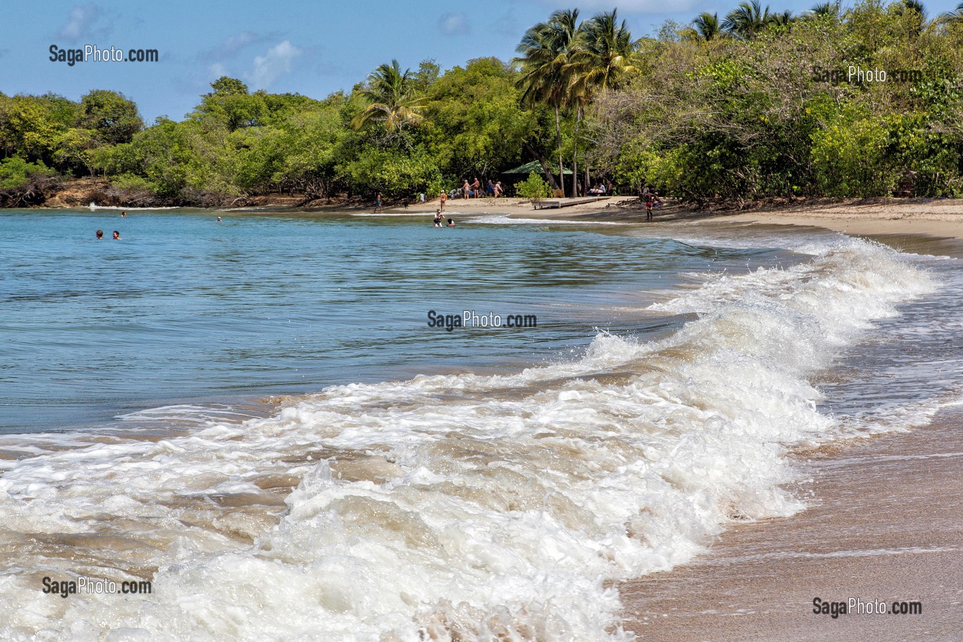 PLAGE DE LA BRECHE, TARTANE, LA TRINITE, PRESQU'ILE DE LA CARAVELLE, MARTINIQUE, ANTILLES FRANCAISES, FRANCE 