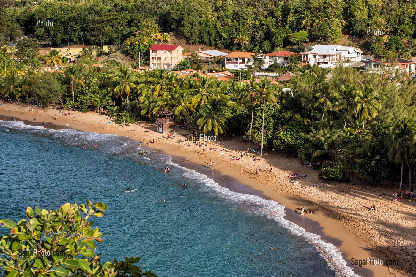 PLAGE DE SABLE FIN ET COCOTIERS, TARTANE, ANSE L'ETANG, LA TRINITE, PRESQU'ILE DE LA CARAVELLE, MARTINIQUE, ANTILLES FRANCAISES, FRANCE 