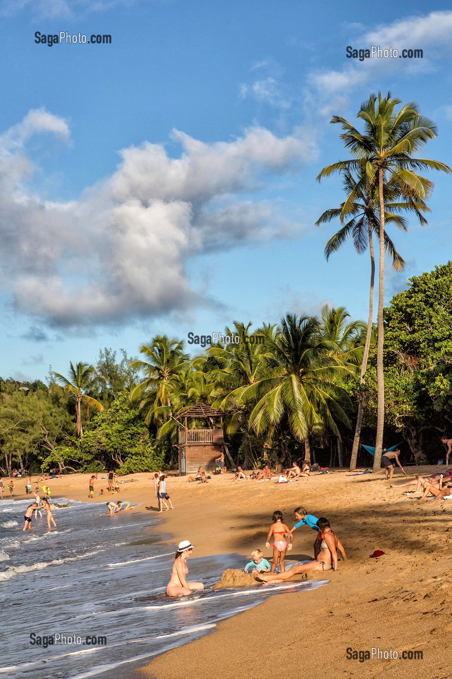 PLAGE DE SABLE FIN ET COCOTIERS, TARTANE, ANSE L'ETANG, LA TRINITE, PRESQU'ILE DE LA CARAVELLE, MARTINIQUE, ANTILLES FRANCAISES, FRANCE 