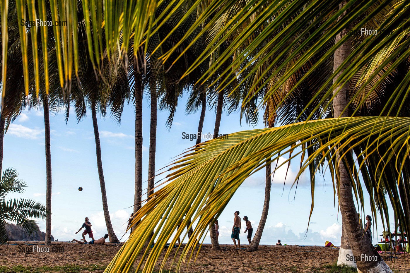 JEU DE PLAGE AU COCO BEACH CAFE, TARTANE, ANSE L'ETANG, LA TRINITE, PRESQU'ILE DE LA CARAVELLE, MARTINIQUE, ANTILLES FRANCAISES, FRANCE 